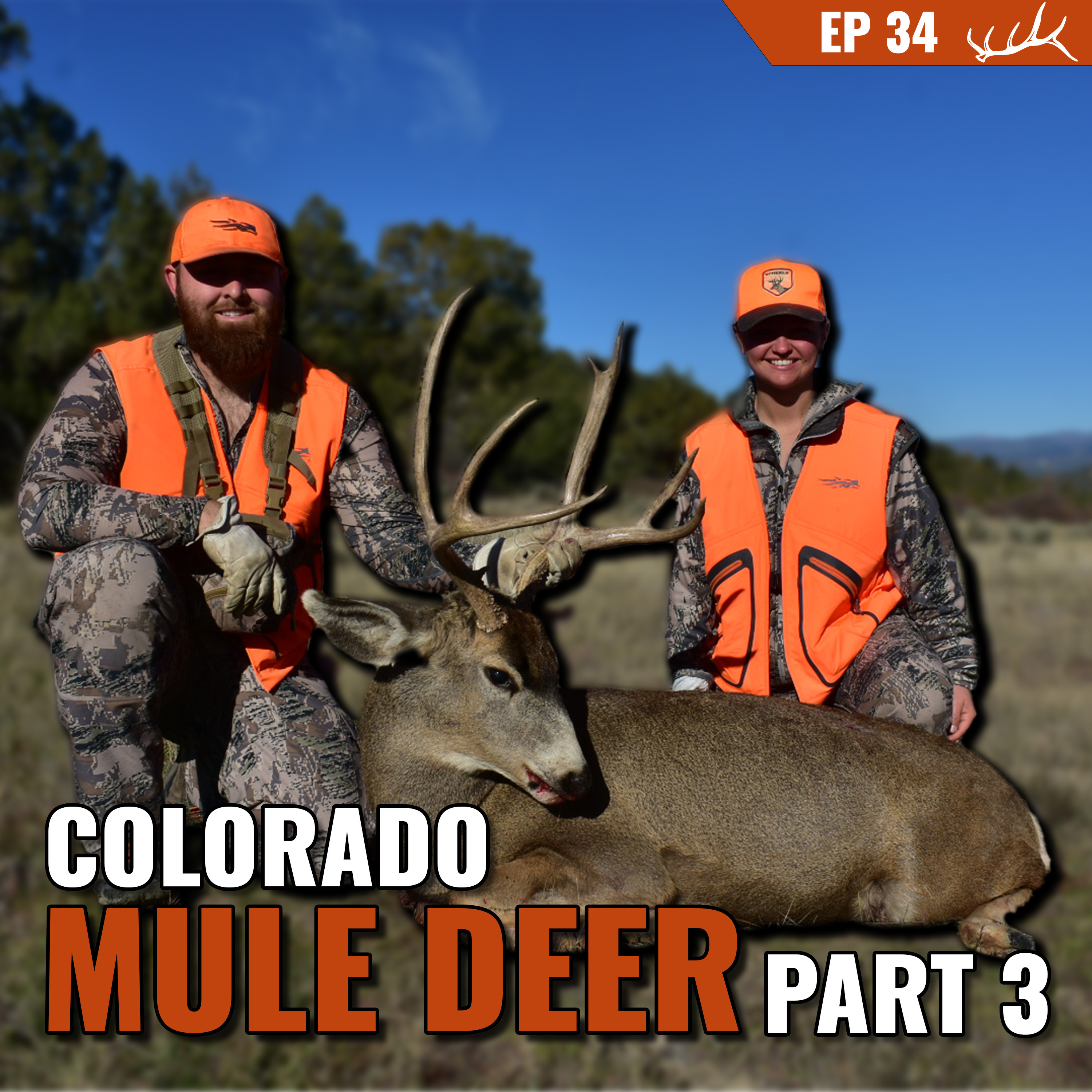 Colorado Mule Deer Camp Part 3