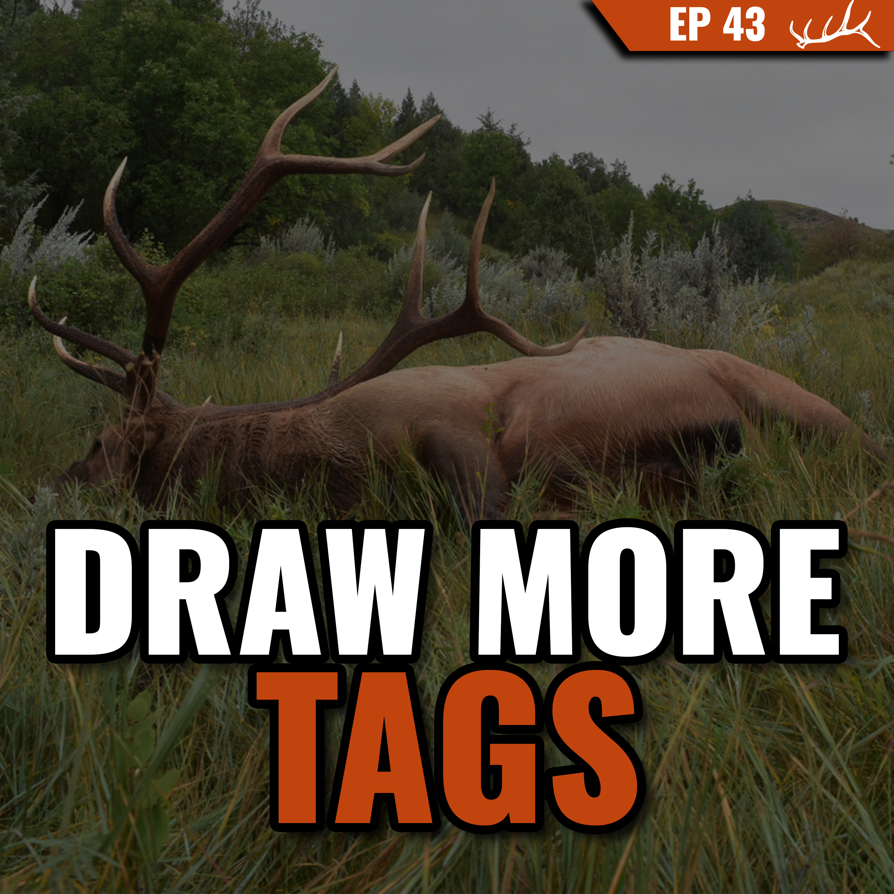 How to Draw Tags - Western Application Systems Explained