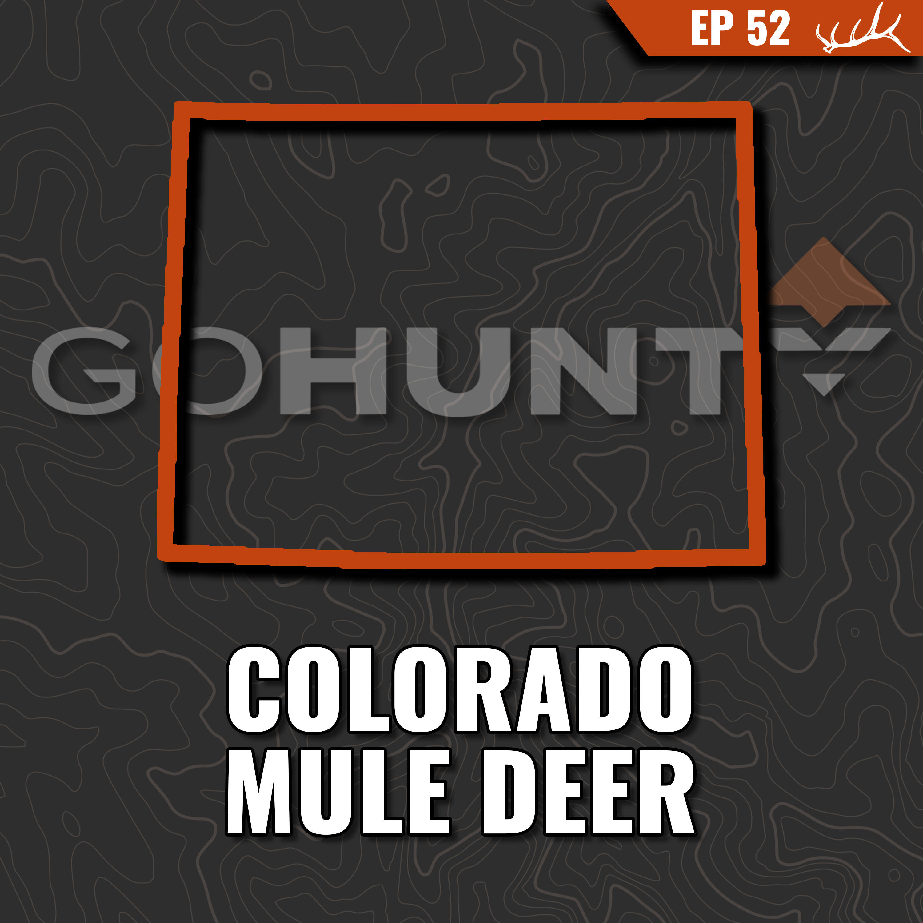 Colorado Mule Deer
