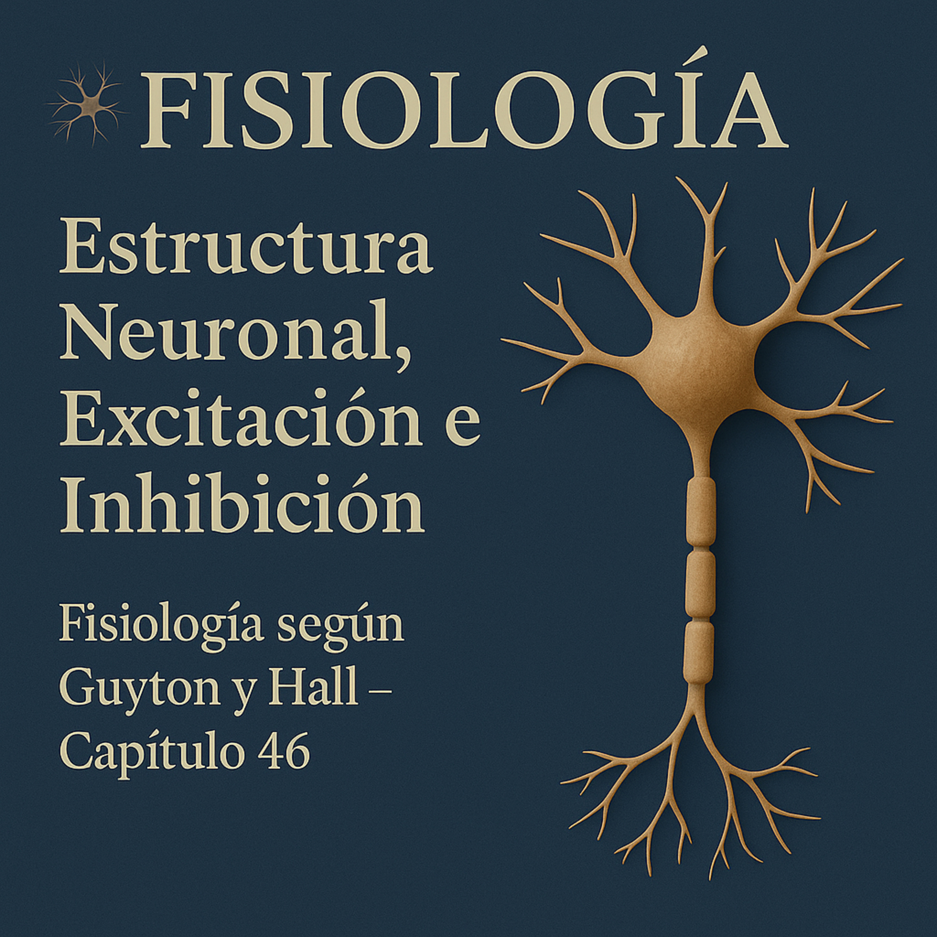 Estructura Neuronal, Excitación e Inhibición (Fisiología según Guyton y Hall – Capítulo 46) episode artwork