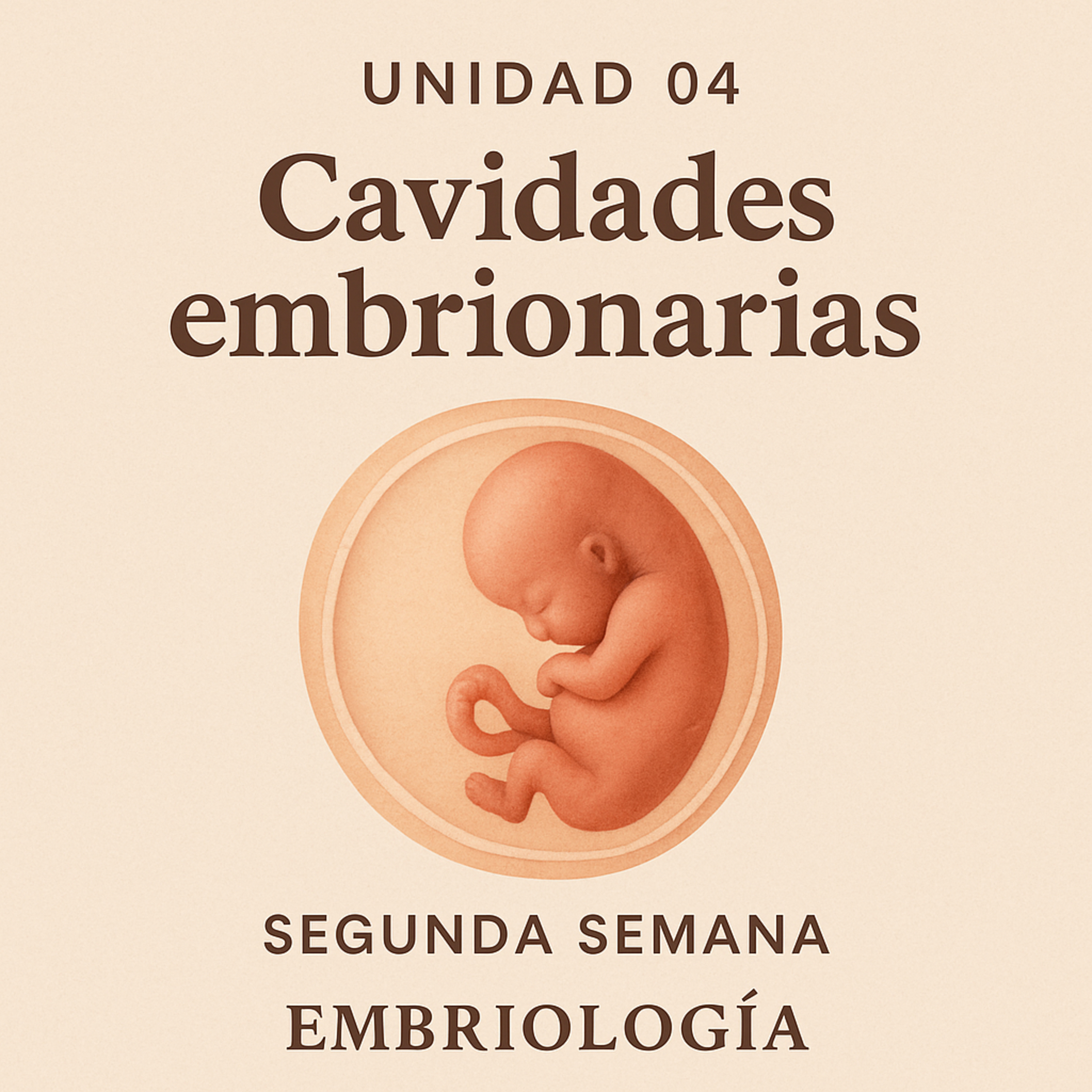 Unidad 04 – Cavidades embrionarias: expansión en la segunda semana episode artwork