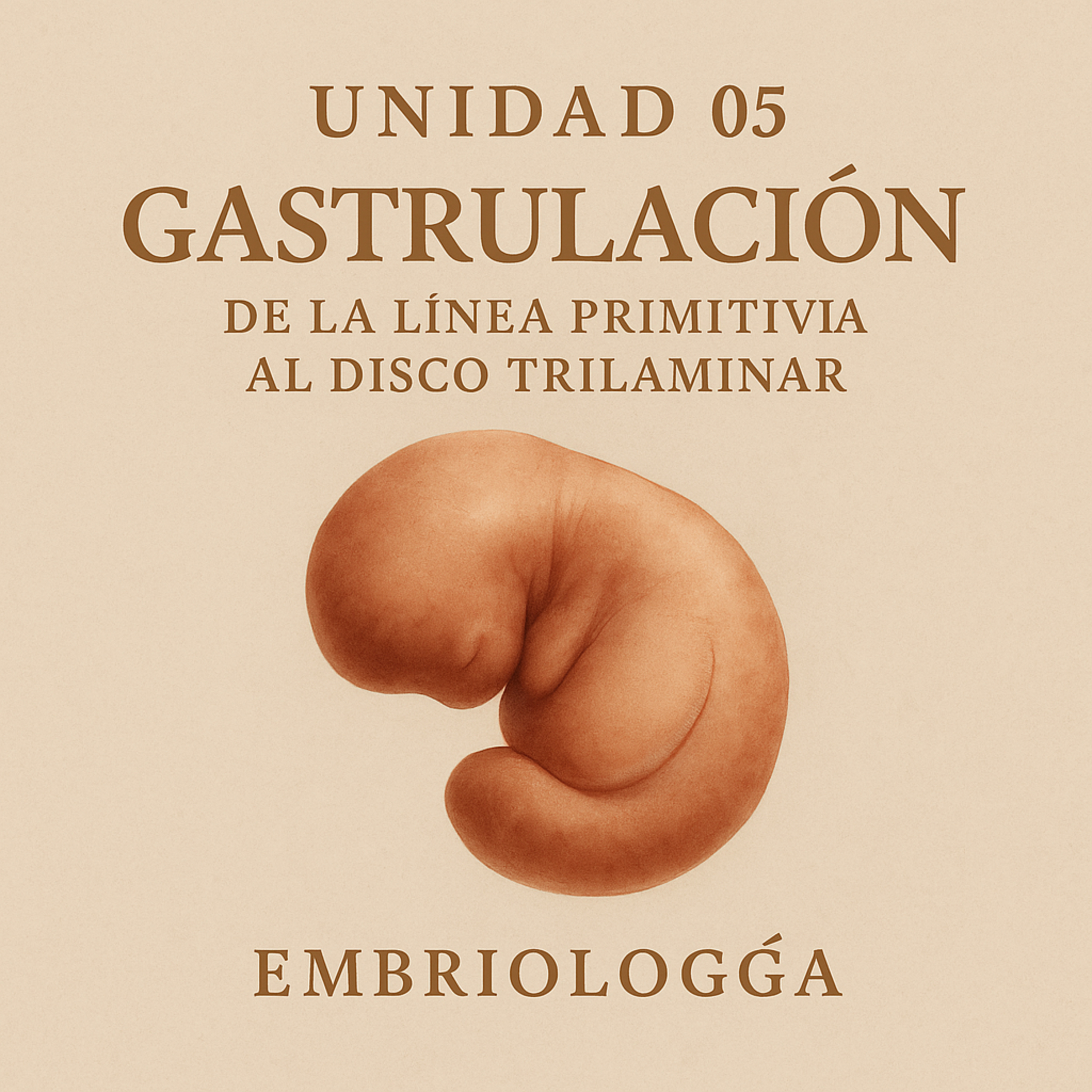 Unidad 05 – Gastrulación: de la línea primitiva al disco trilaminar episode artwork