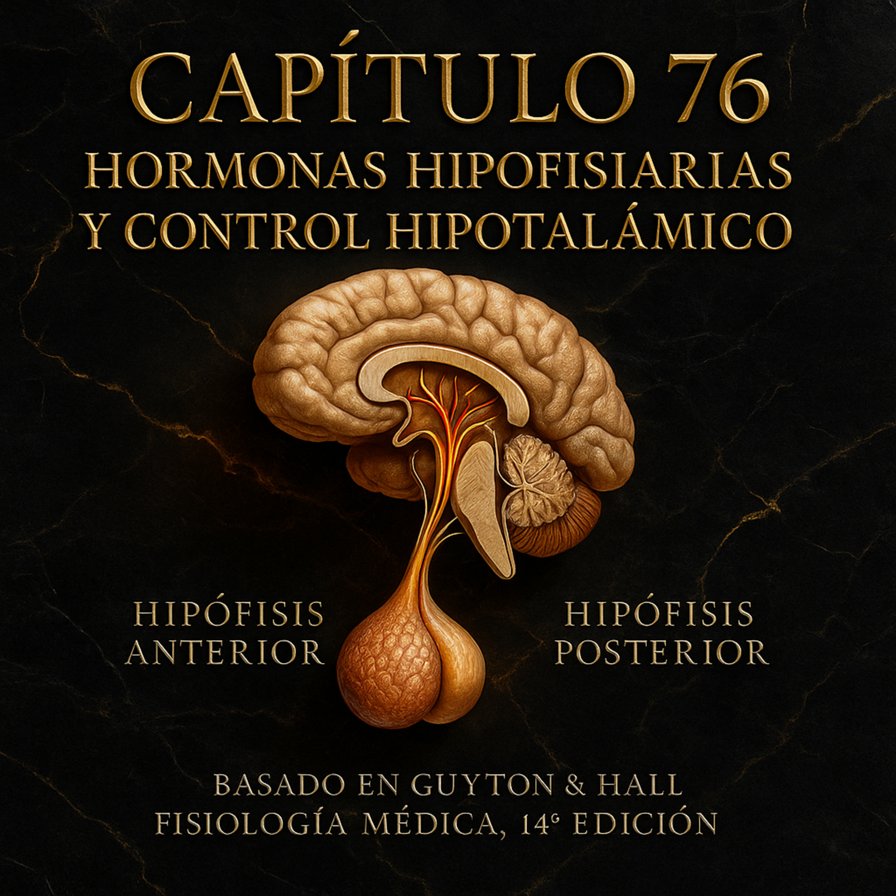 Hormonas Hipofisarias y Control Hipotalámico episode artwork