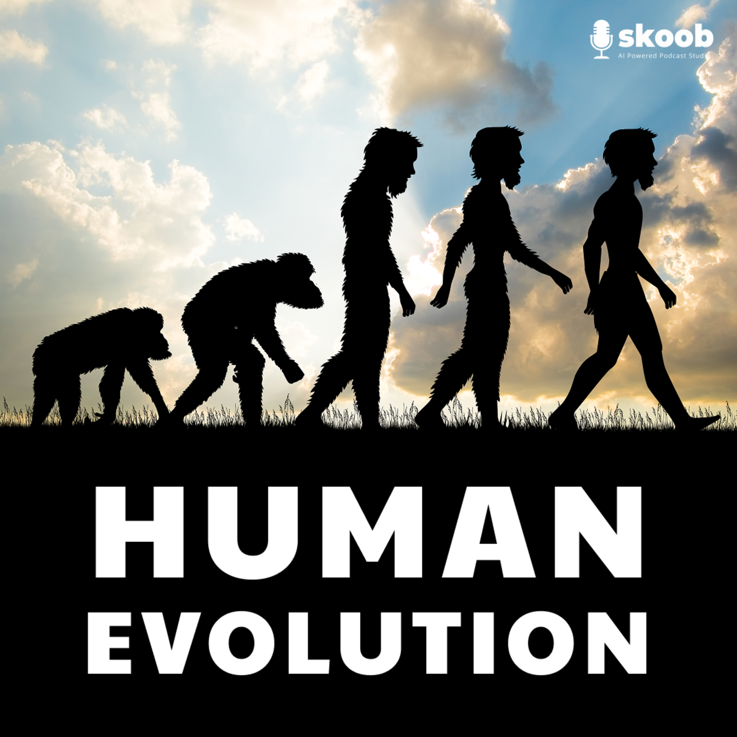 The Story of Us: Human Evolution