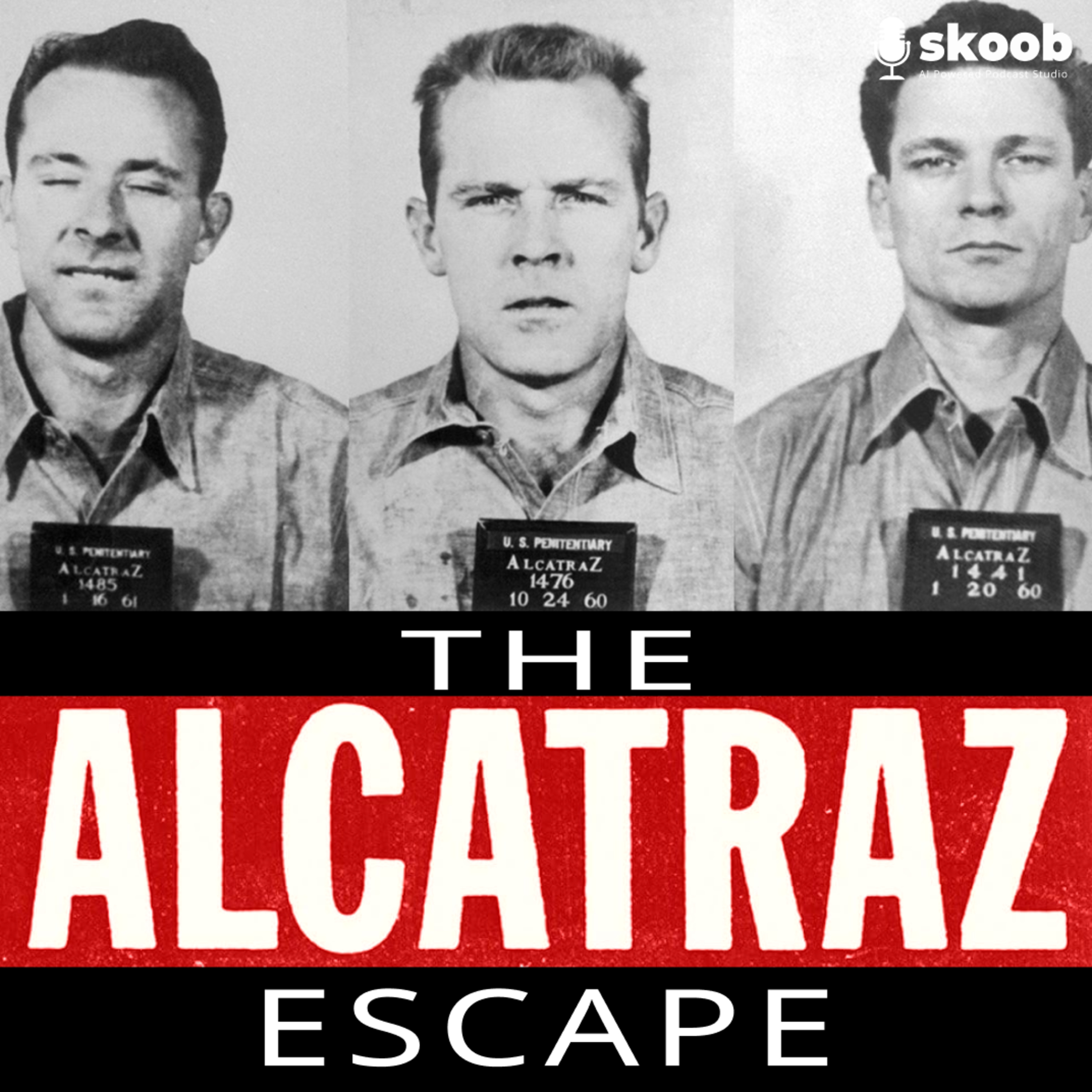 American Scandal Report