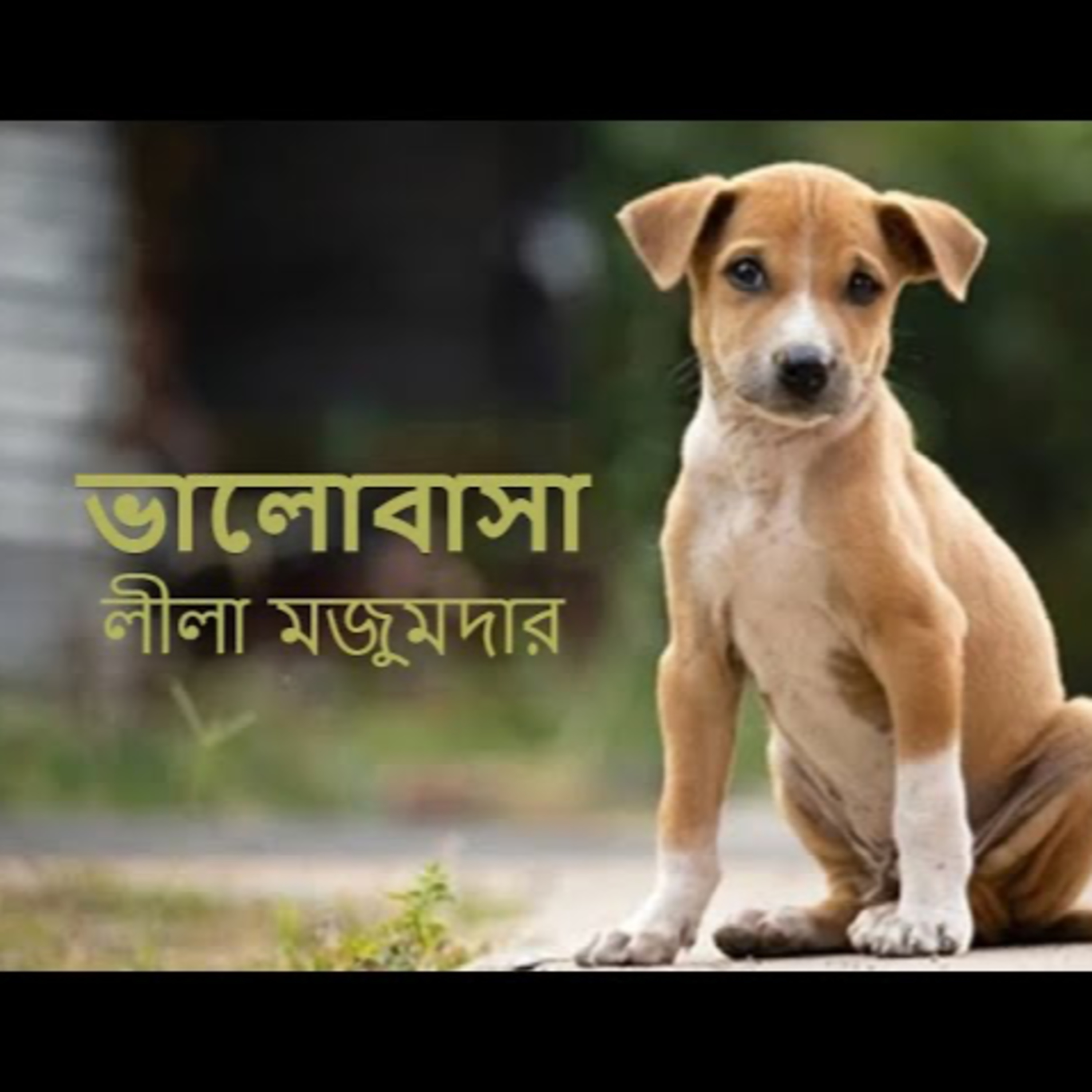 গপ্পের বৈঠক পর্ব ২ - লীলা মজুমদার - ভালোবাসা - গল্প পাঠে শ্রী শান্তনীল গাঙ্গুলী Gopper Boithok Episode 2- Leela Majumdar- Bhalobasa- Narration by Sri Shantanil Ganguly