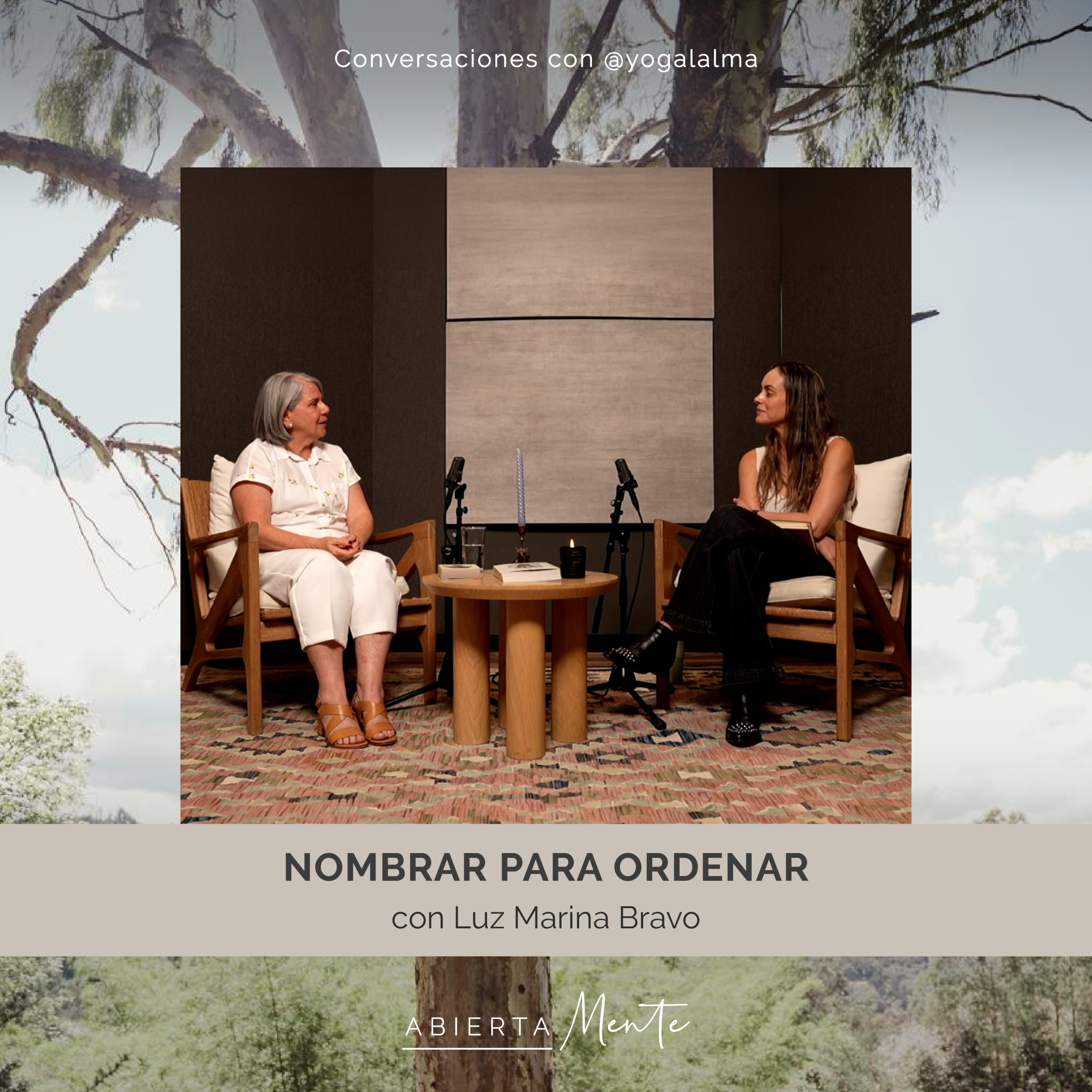 Nombrar para ordenar. Con Luz Marina Bravo. episode artwork