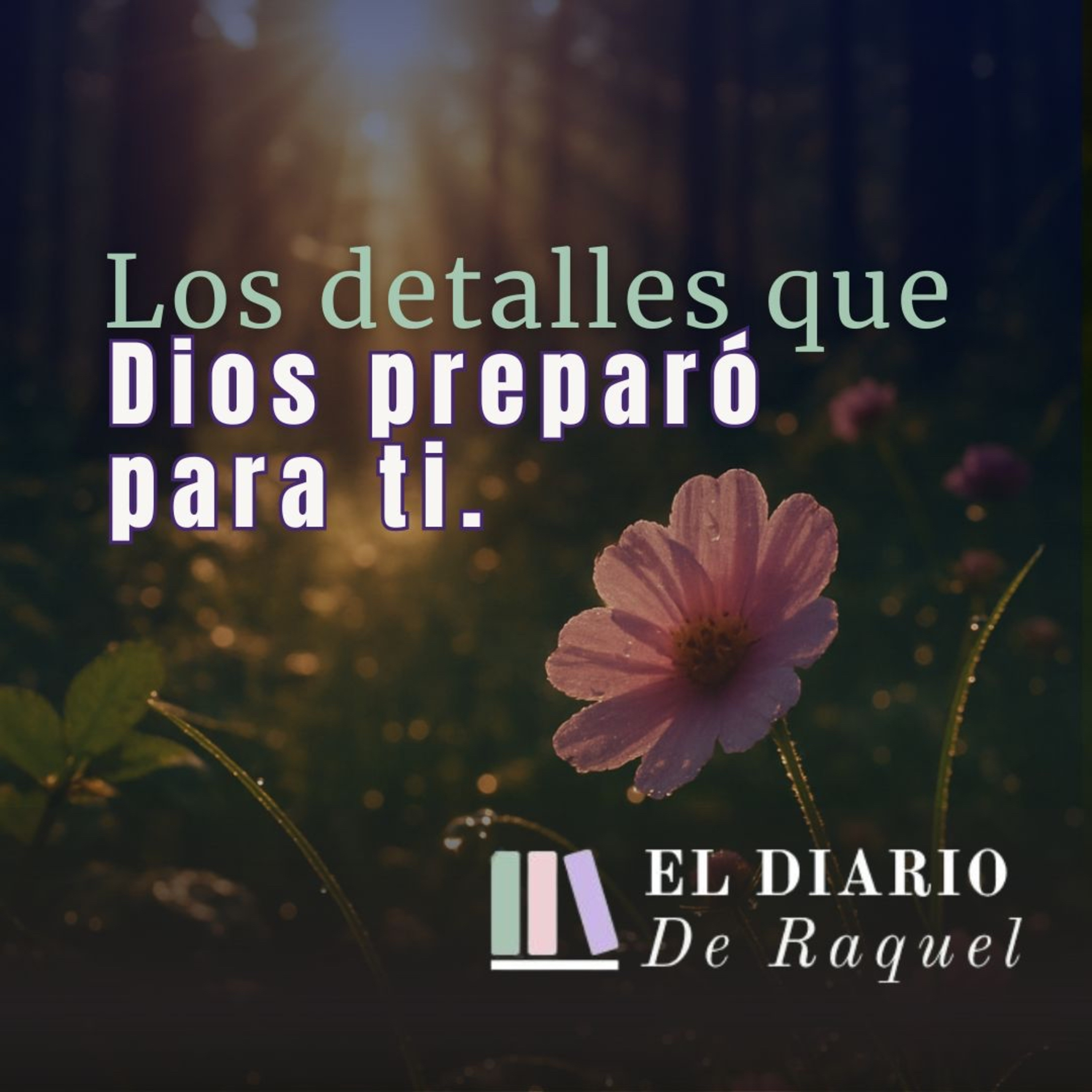 014.Los detalles que Dios preparó para ti. episode artwork