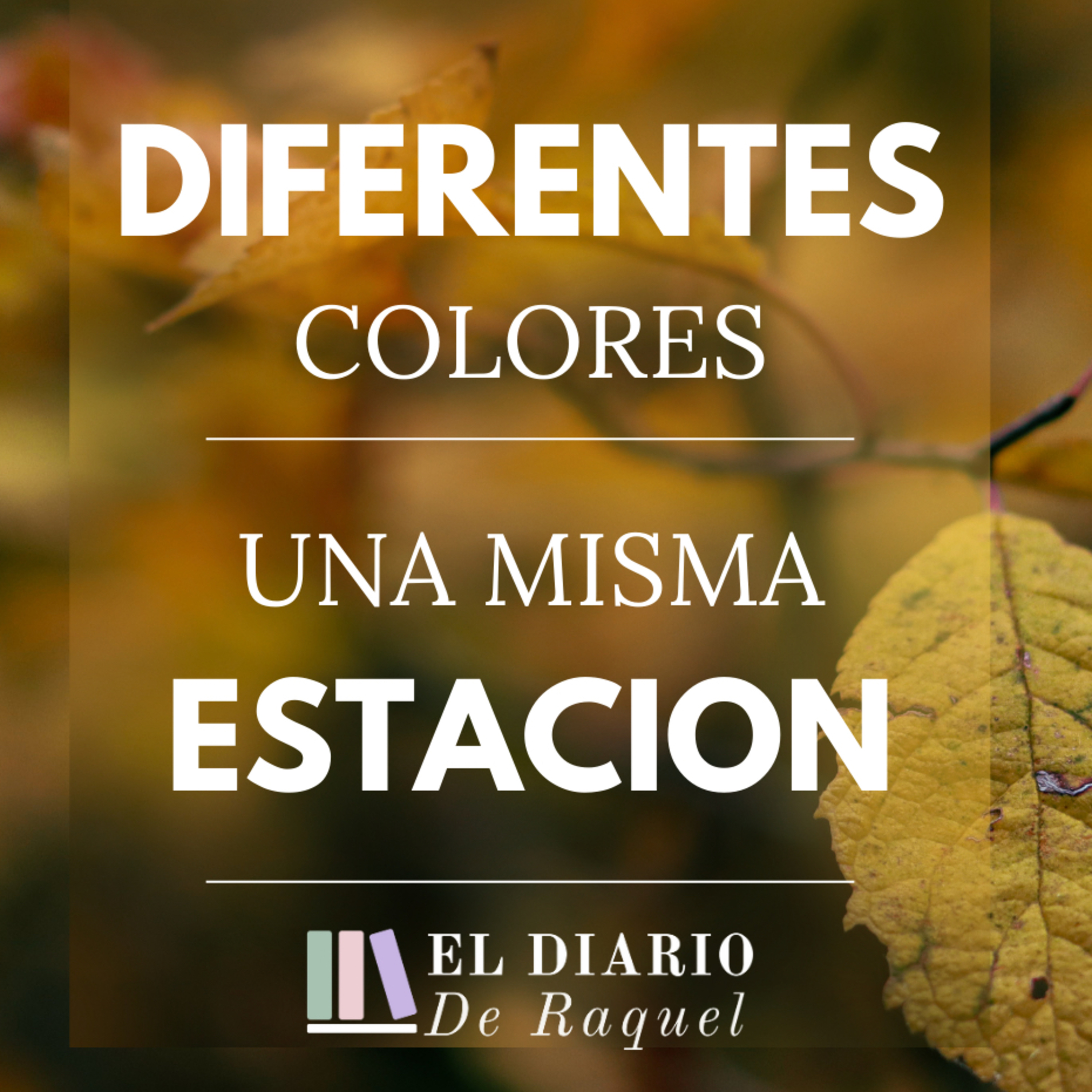 017.Diferentes colores, una misma estación.  episode artwork