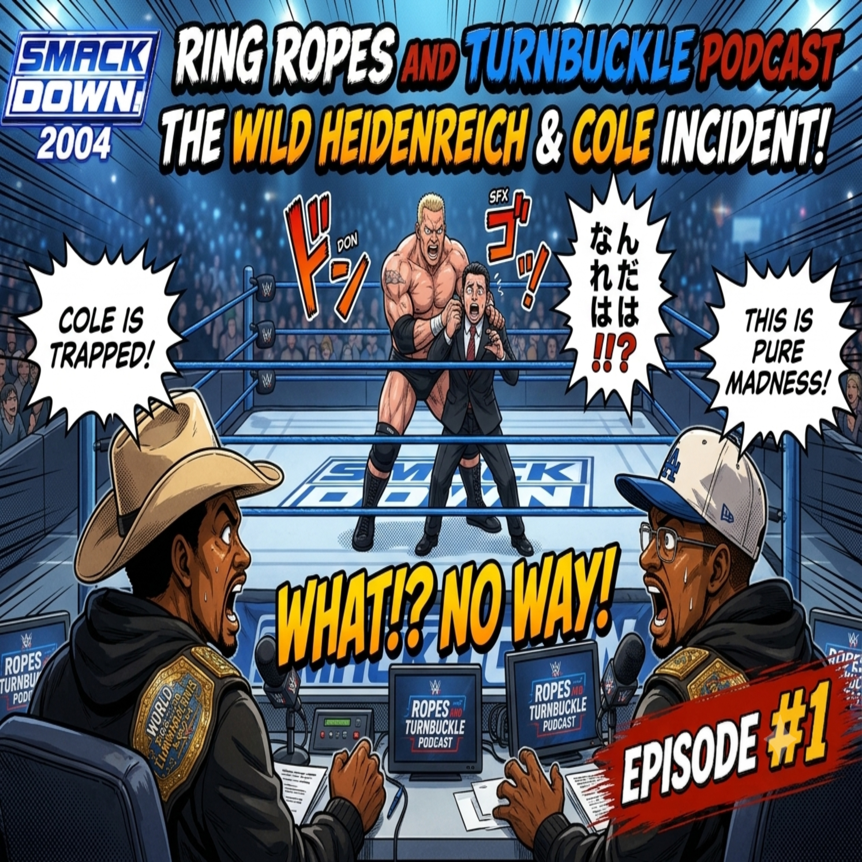 Heidenreich Finally Explains WWE's Most Controversial Segmen episode artwork