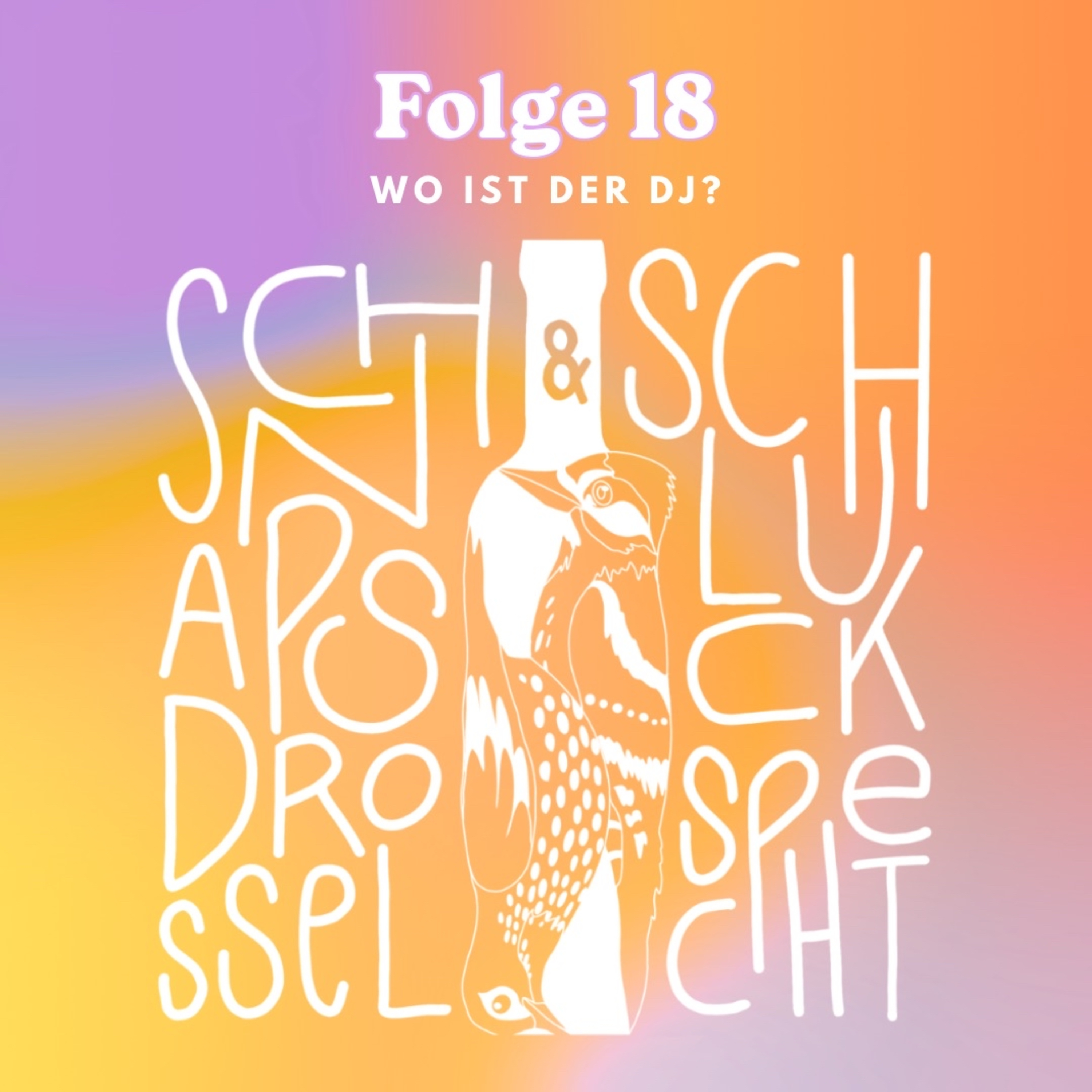 Folge 18: Wo ist der DJ? episode artwork
