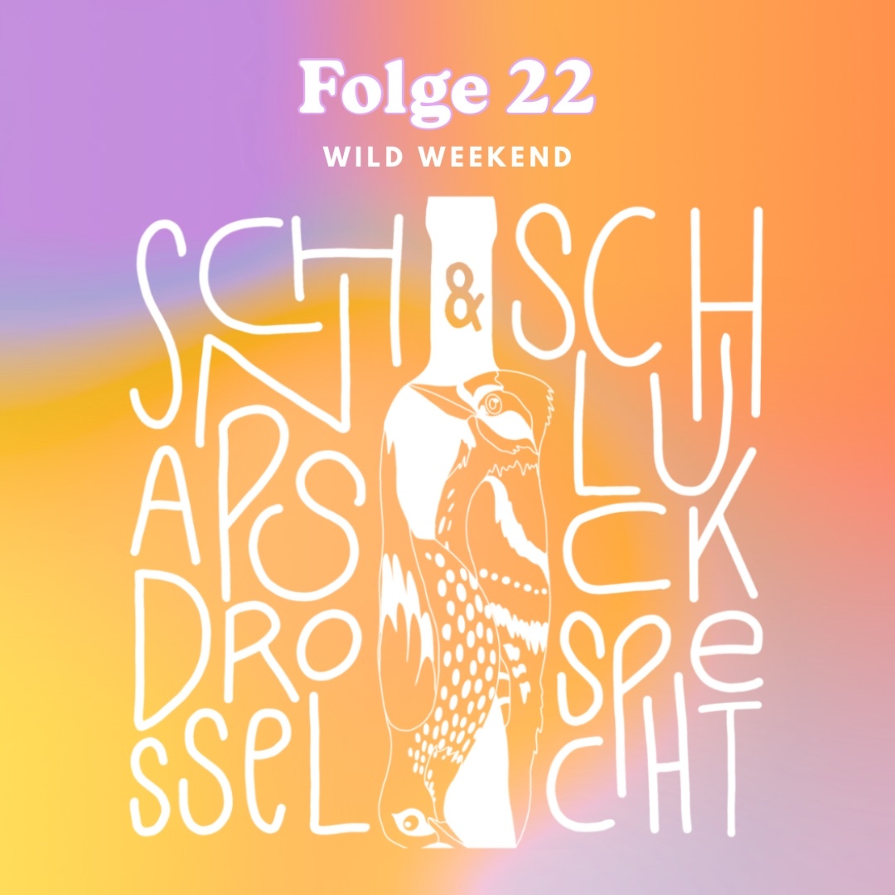Folge 22: Wild Weekend episode artwork