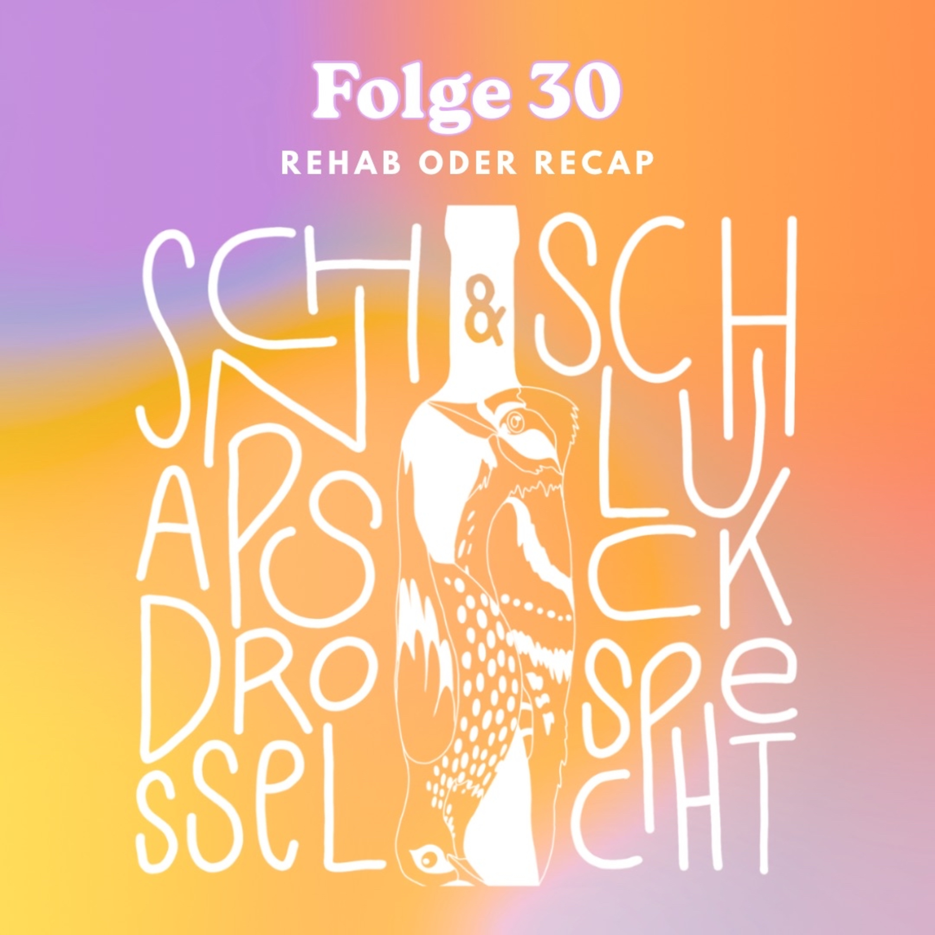 Folge 30: Recap oder Rehab?! episode artwork