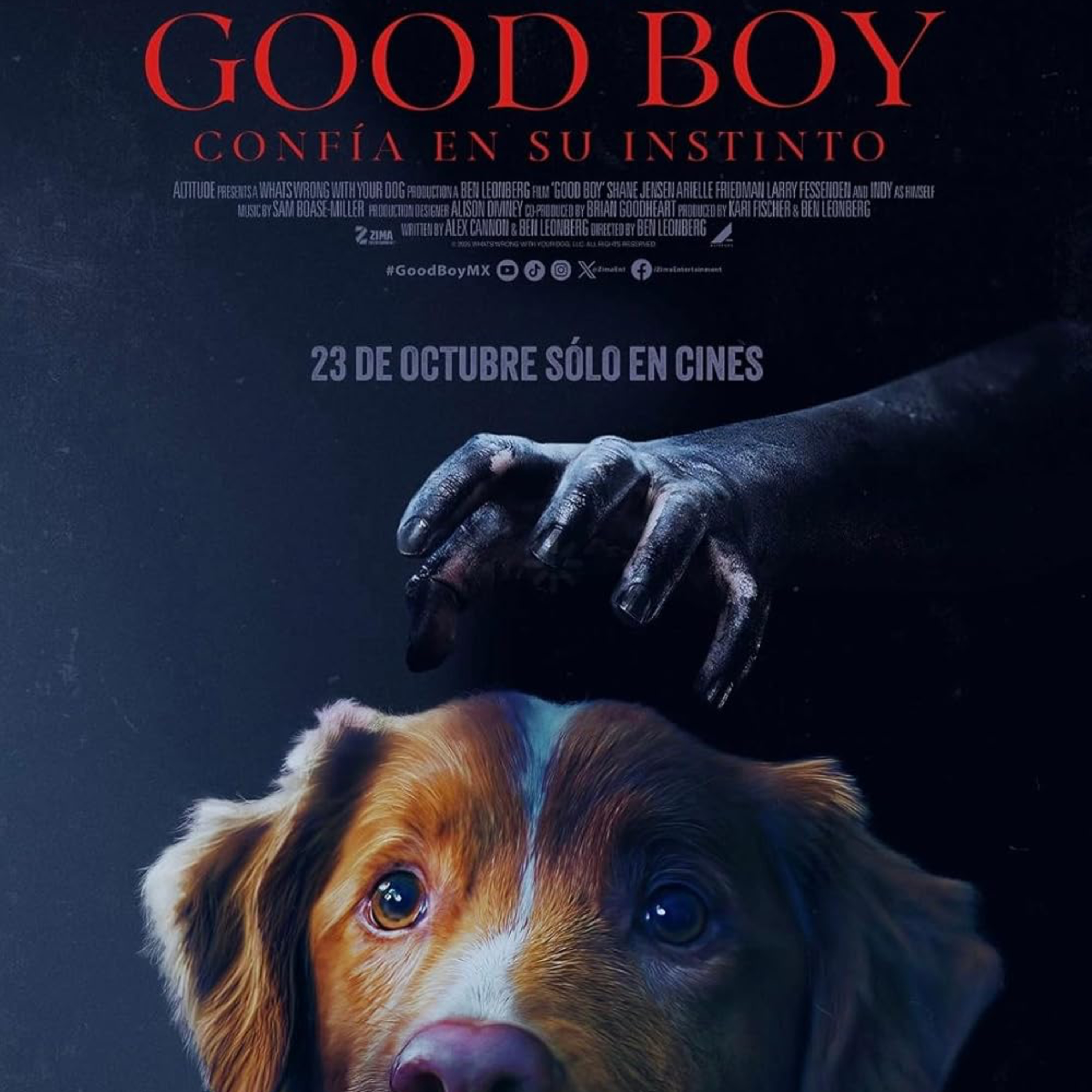 Good Boy