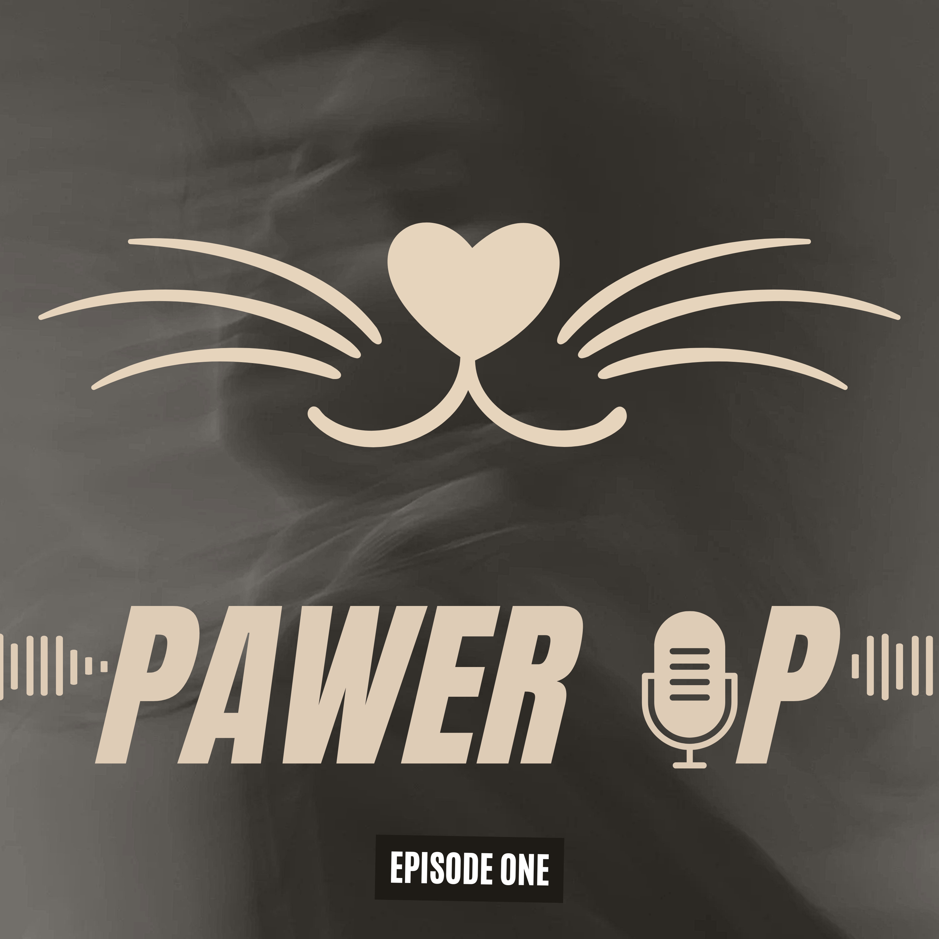 一齊獸教[EP1] : 小心有毒！狗狗貓咪唔食得嘅嘢#PAWER_UP episode artwork