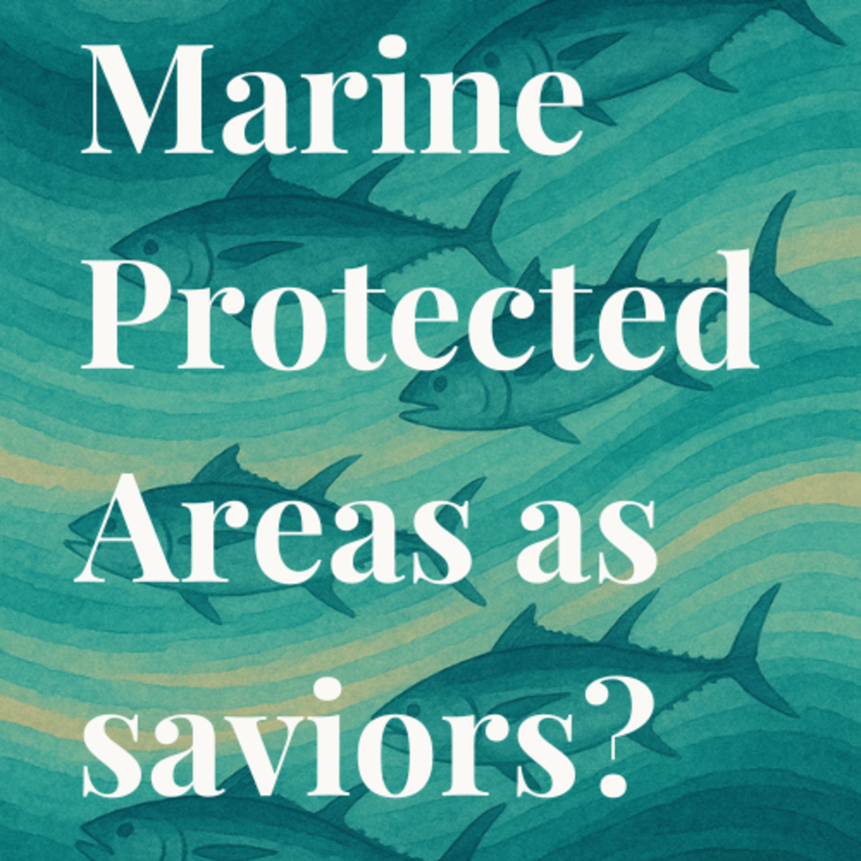 Where The Ocean Meets: