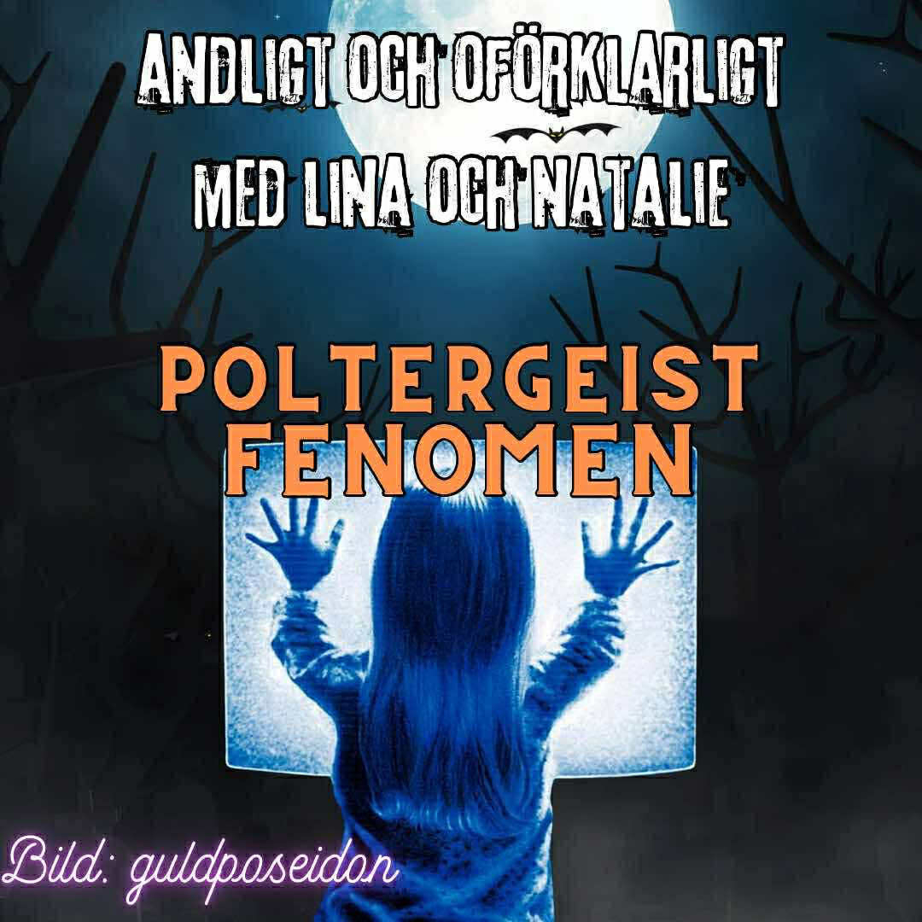 Poltergeistfenomen episode artwork