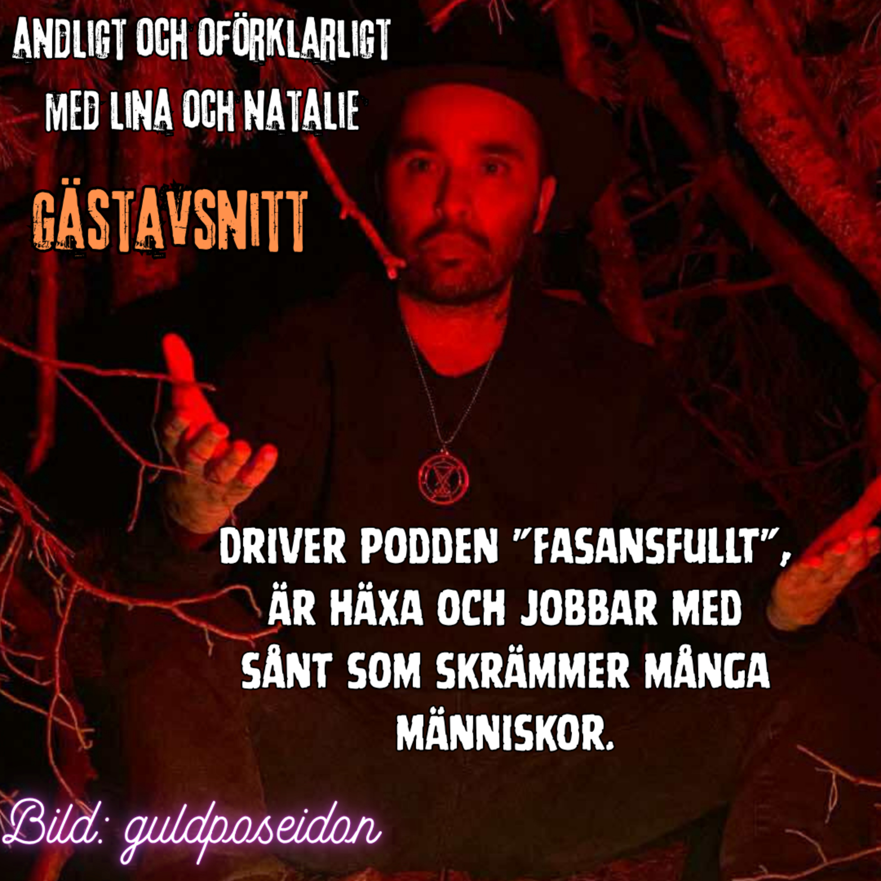 Vår första gäst! episode artwork