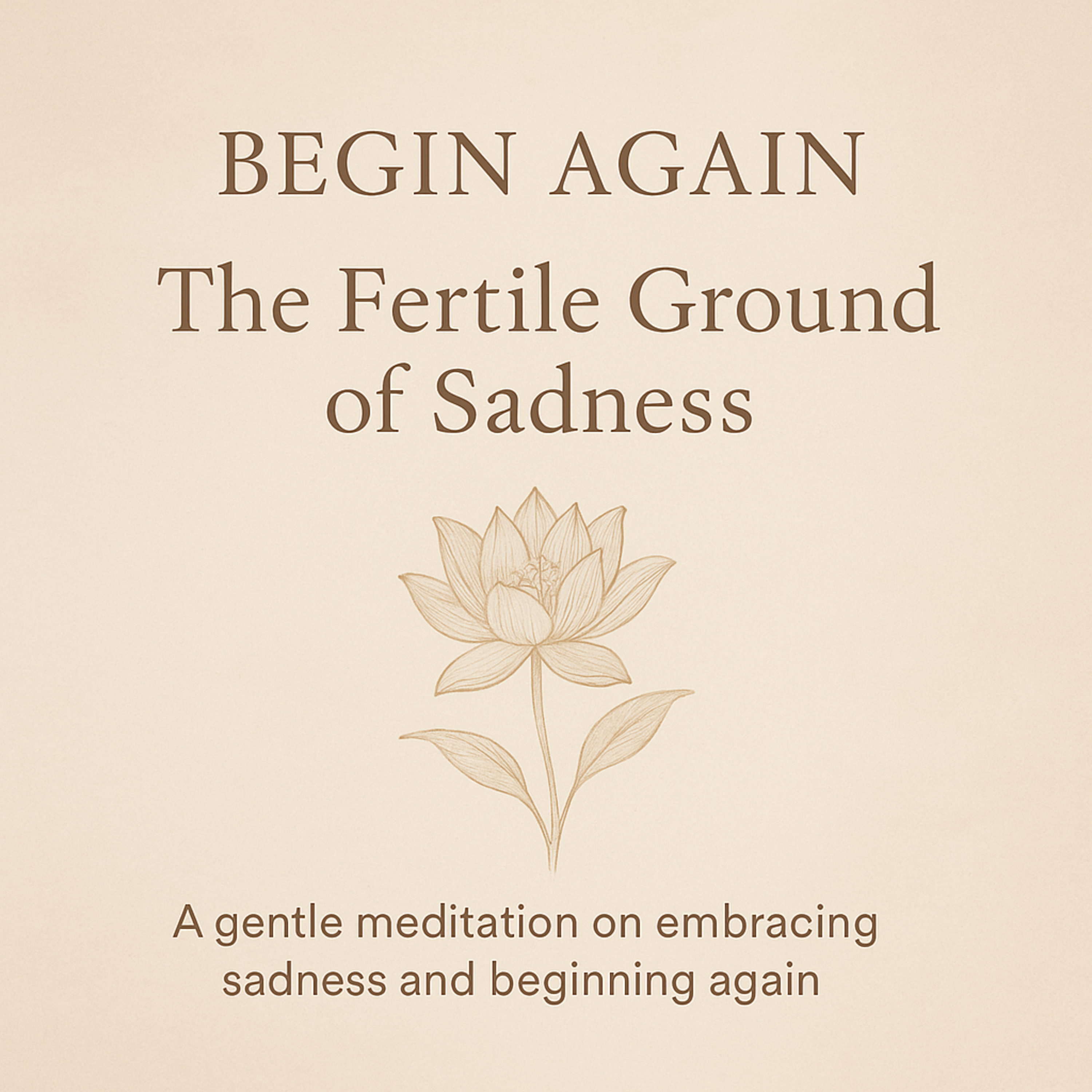 Begin Again with Peter Walters