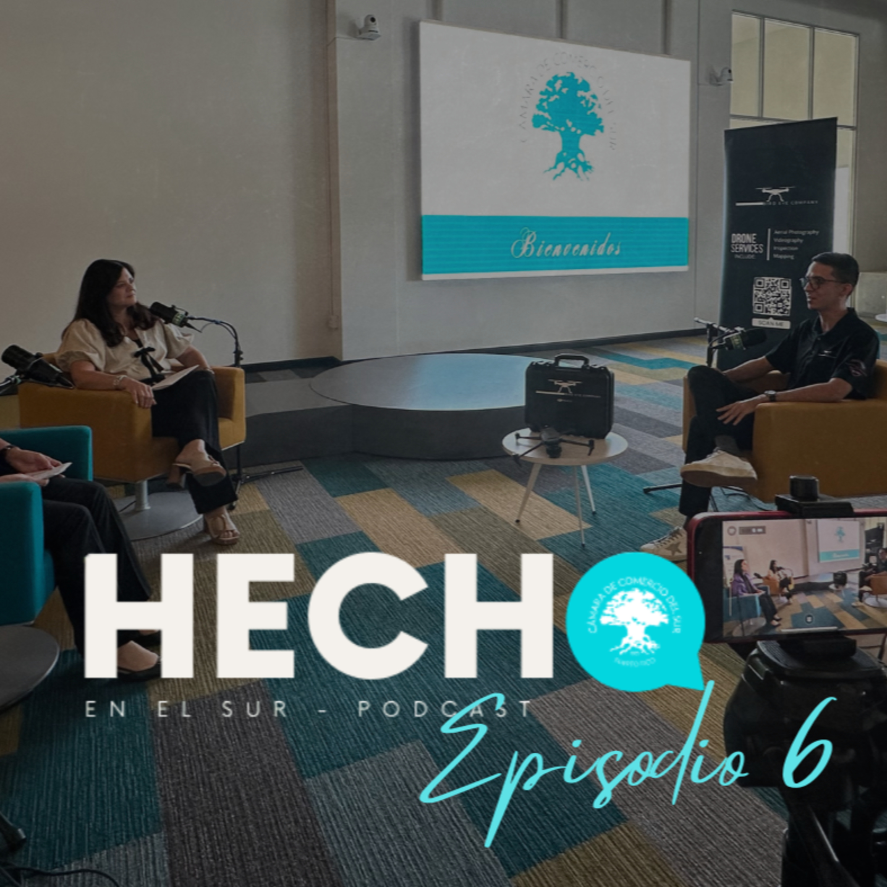 Portada de Hecho en el Sur