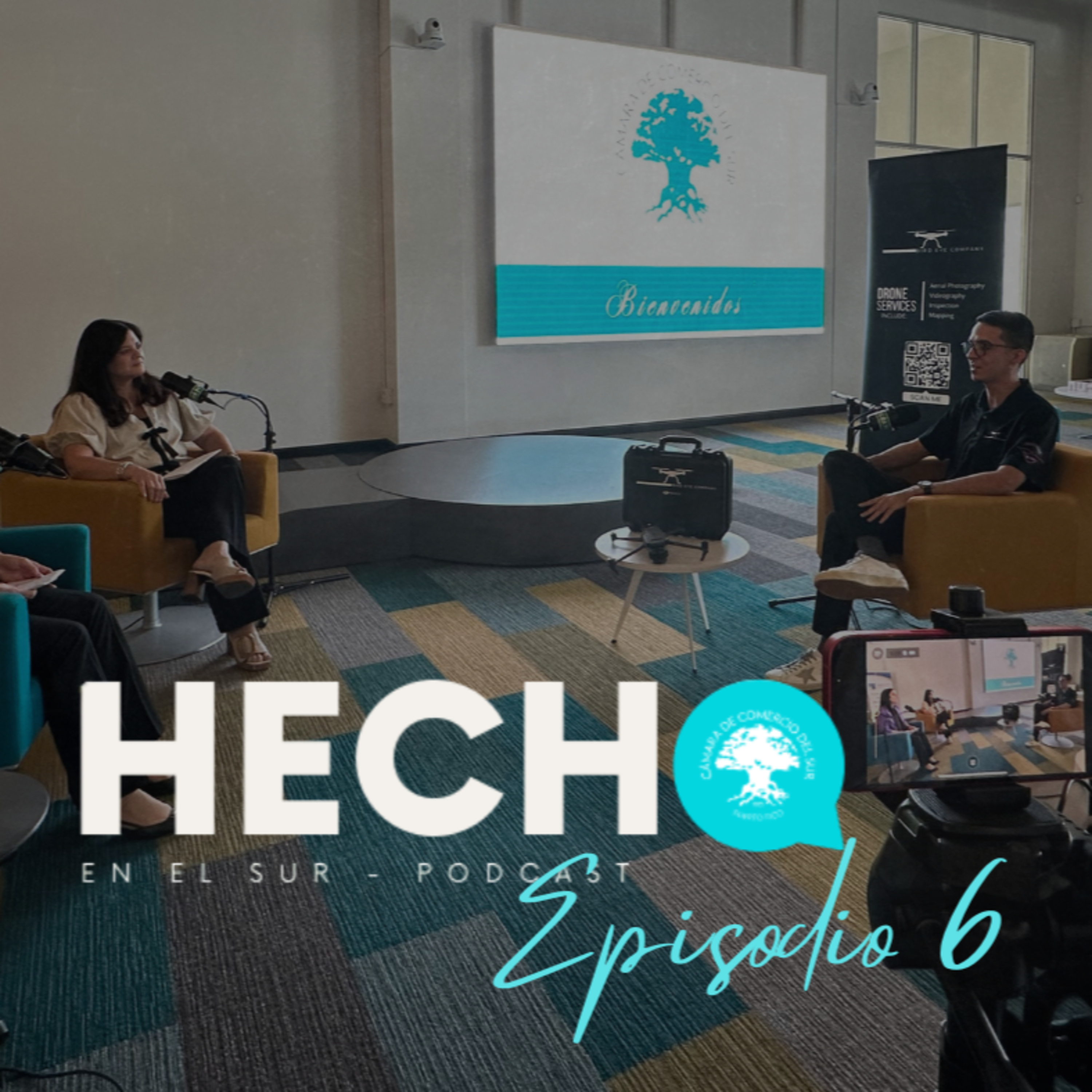 Portada de Hecho en el Sur