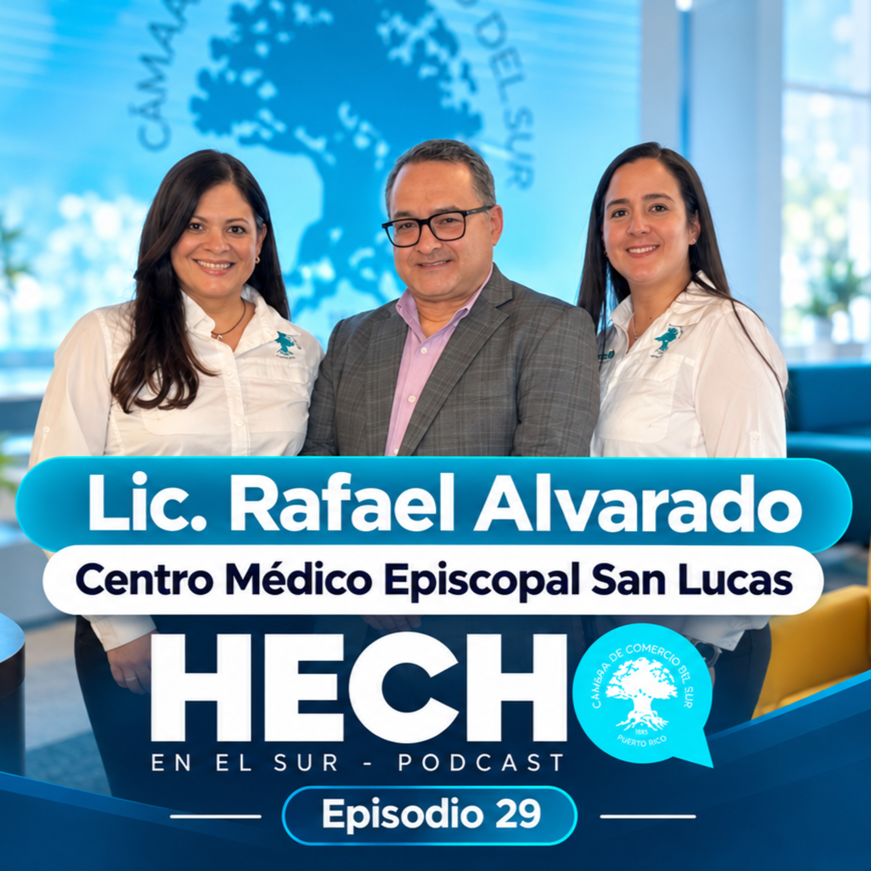 Portada de Hecho en el Sur