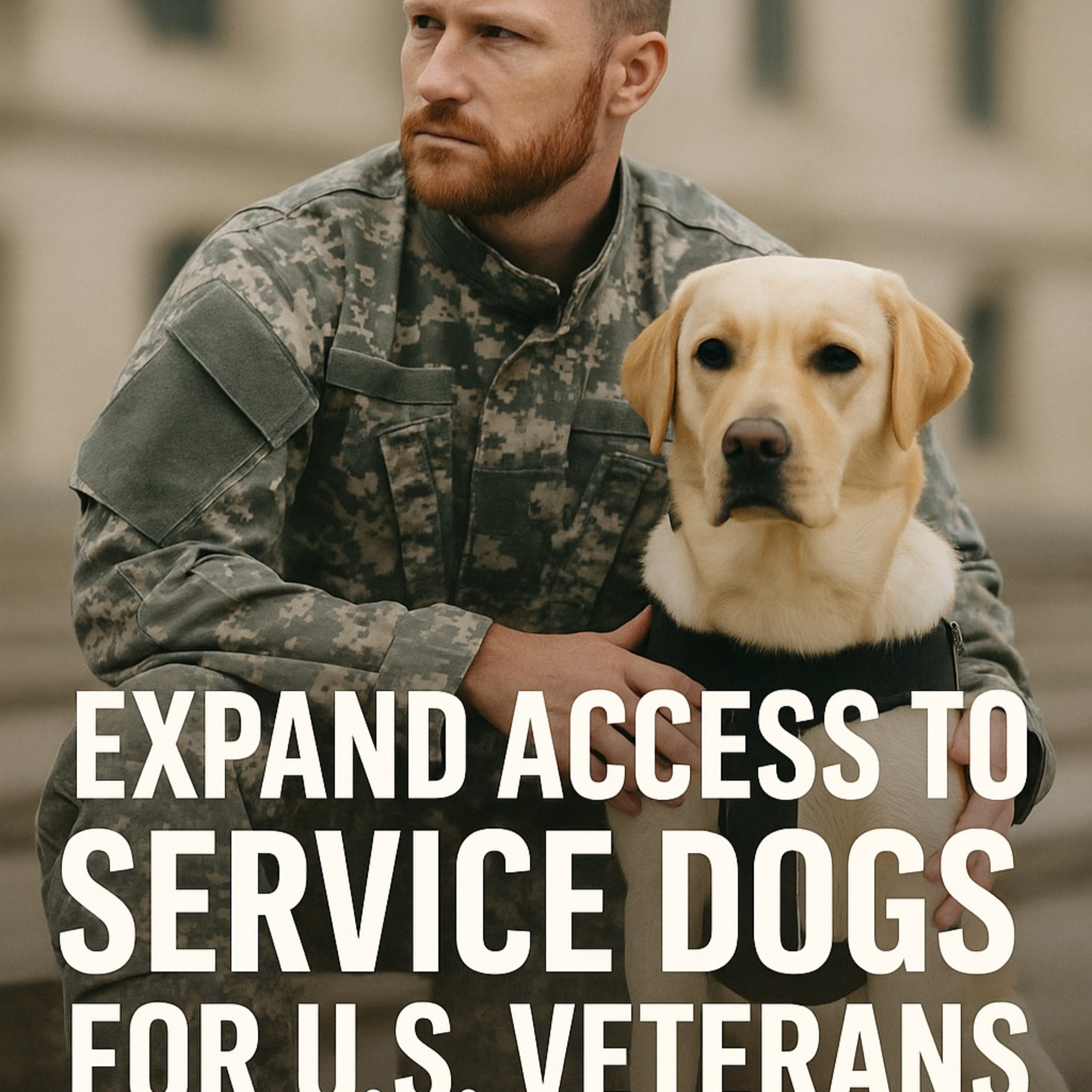 Guardians of the Invisible Wounds: Why U.S. Veterans Still Need Service Dogs episode artwork