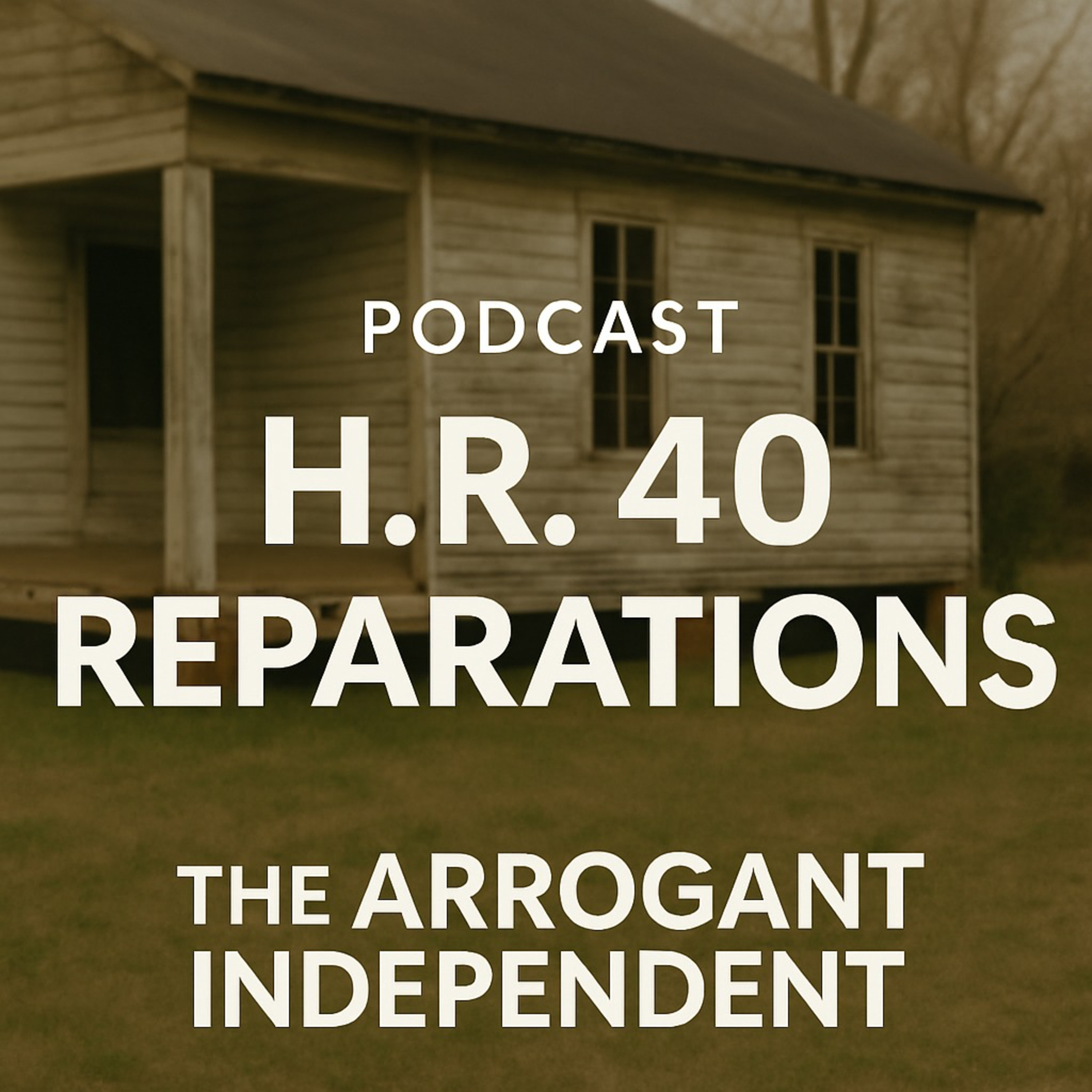 Reparations and Rural Inequity: Addressing the Legacy of Racial Injustice in the American South episode artwork