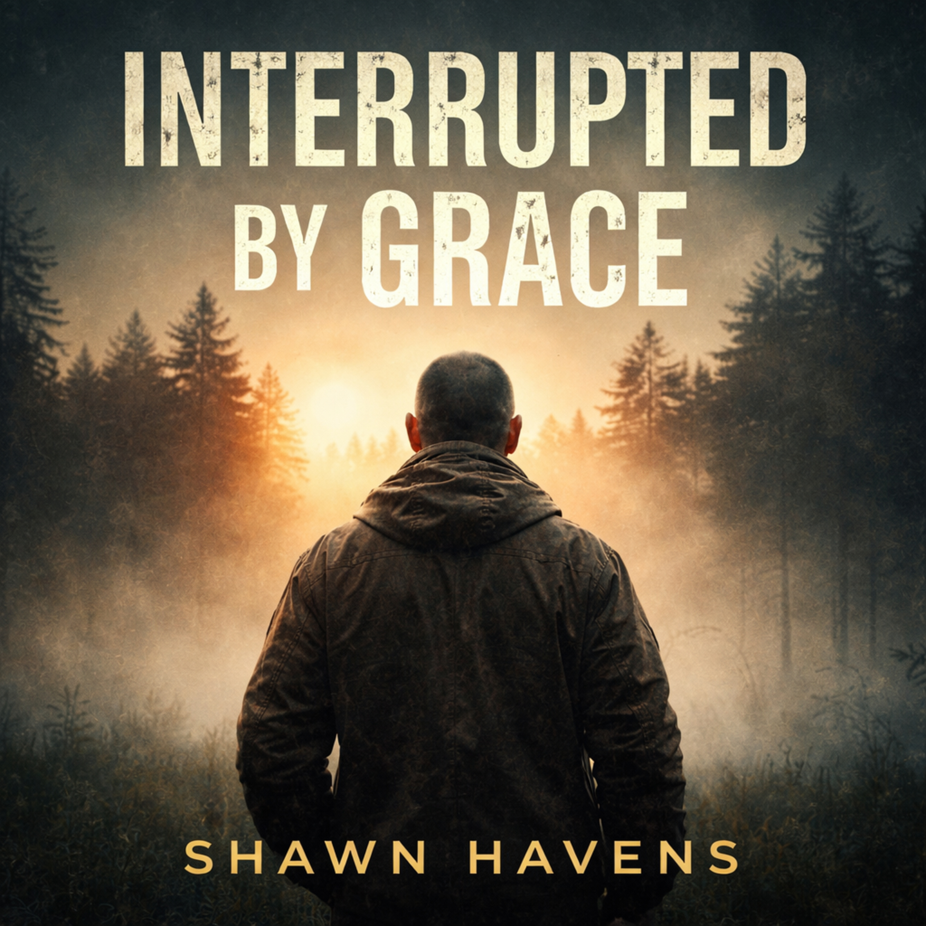 AUDIOBOOK RELEASE – “Interrupted by Grace” episode artwork