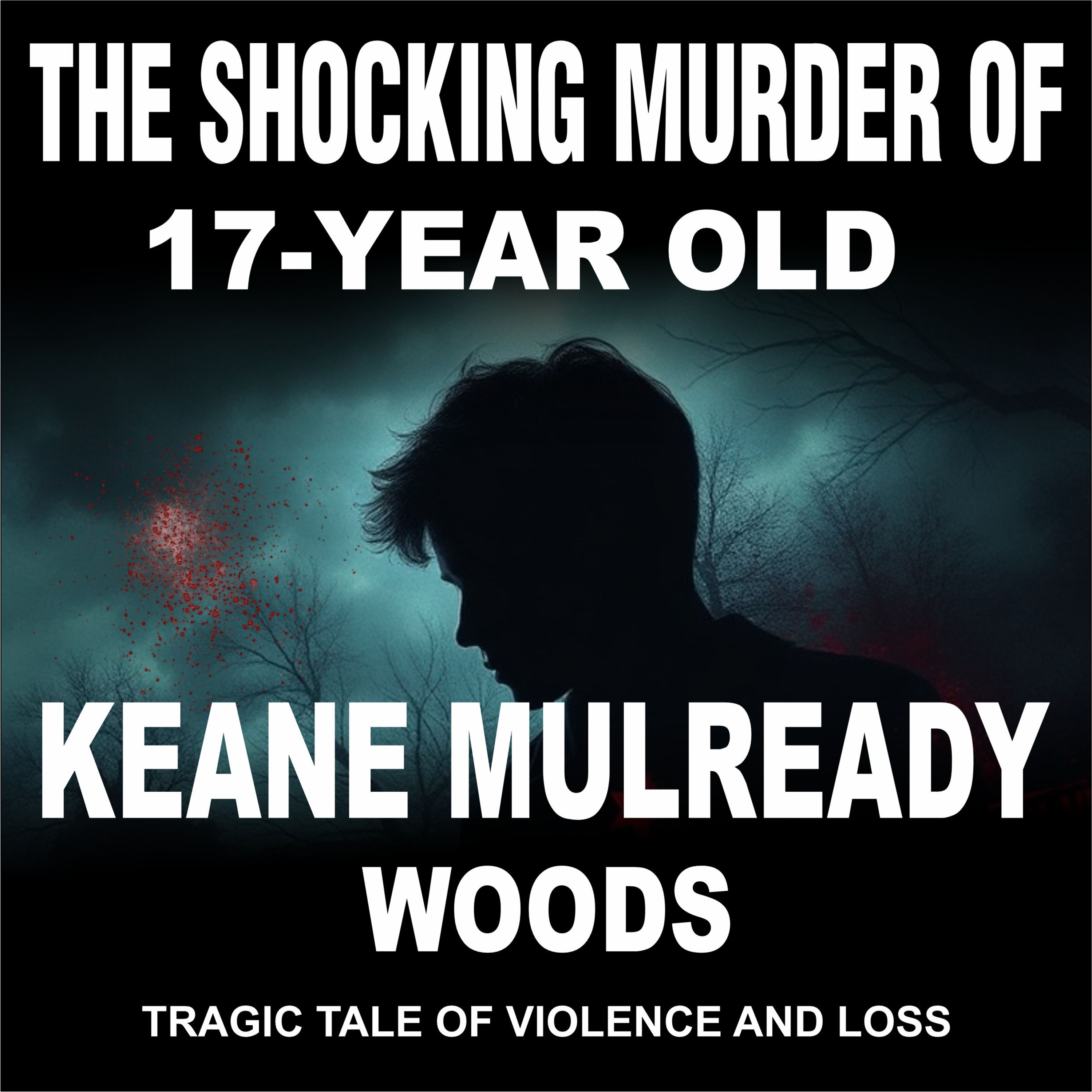 The Shocking Murder of 17-Year-Old Keane Mulready Woods _ A Tragic Tale of Violence and Loss