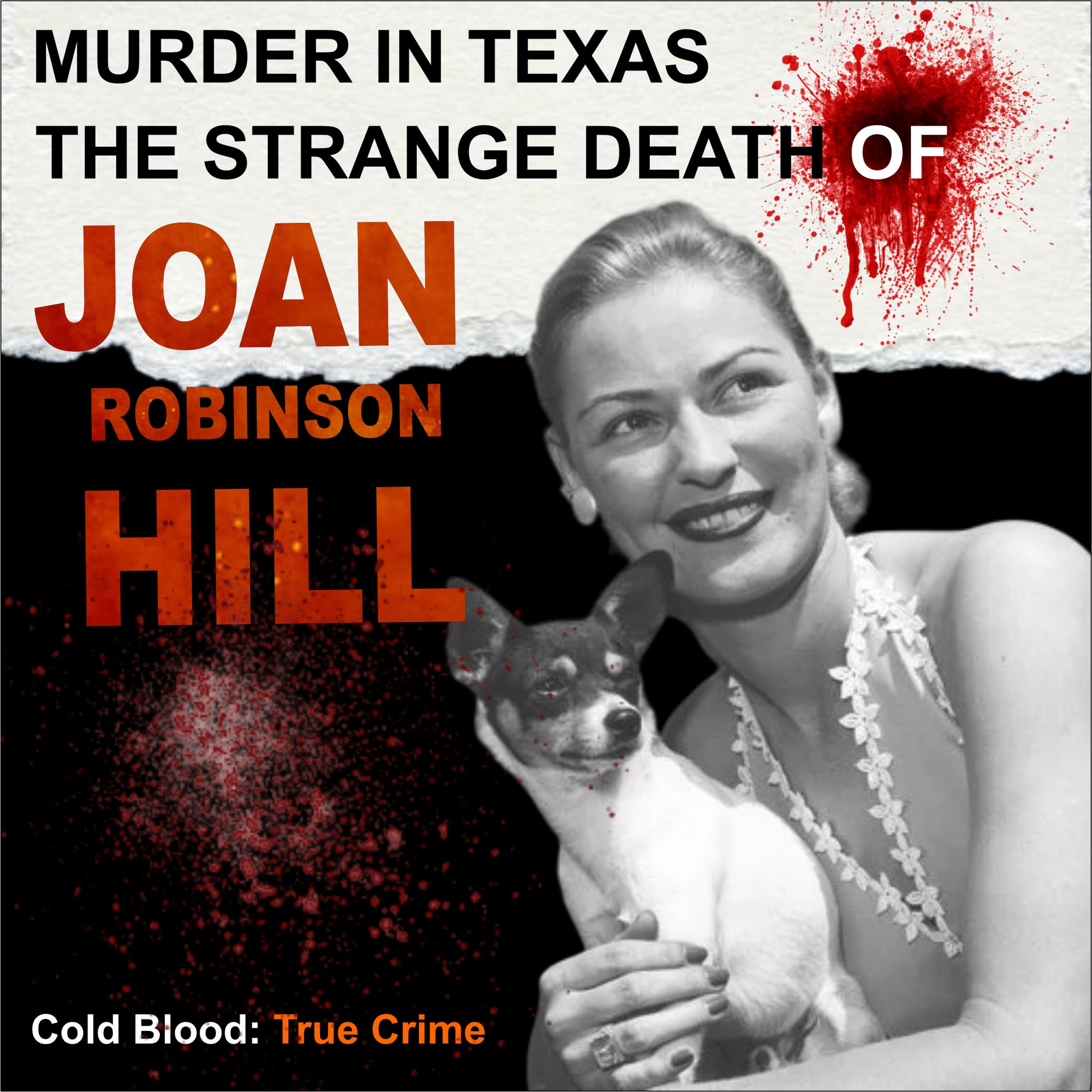The Murder of Joan Robinson Hill