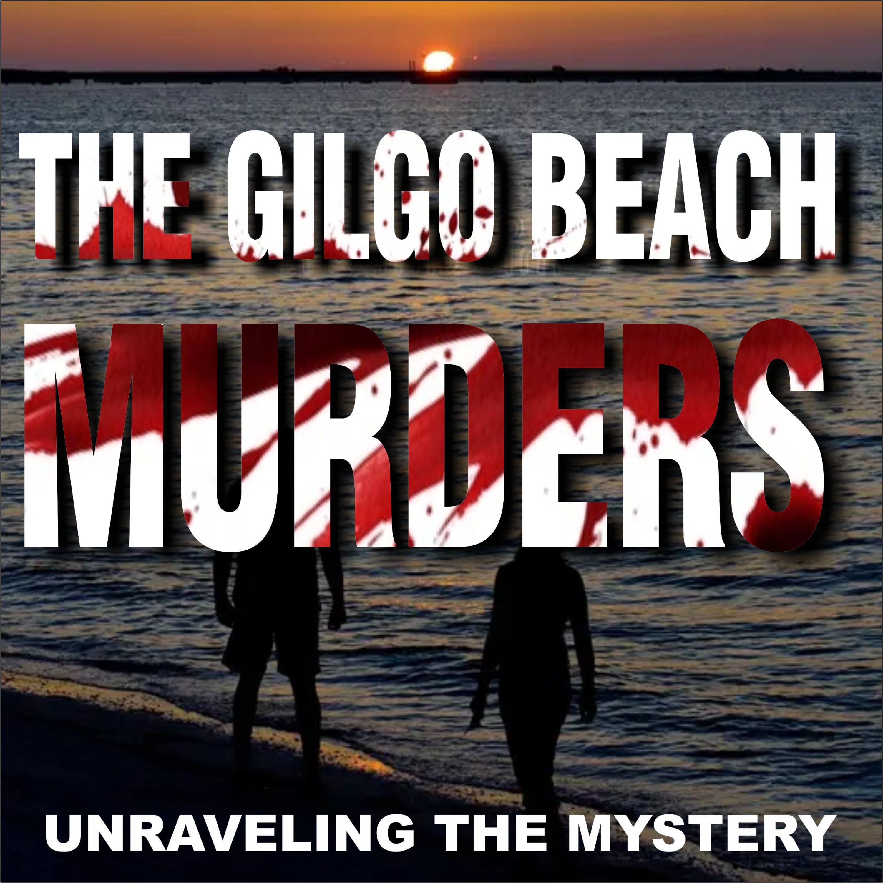 The Gilgo Beach Murders: Unraveling the Mystery