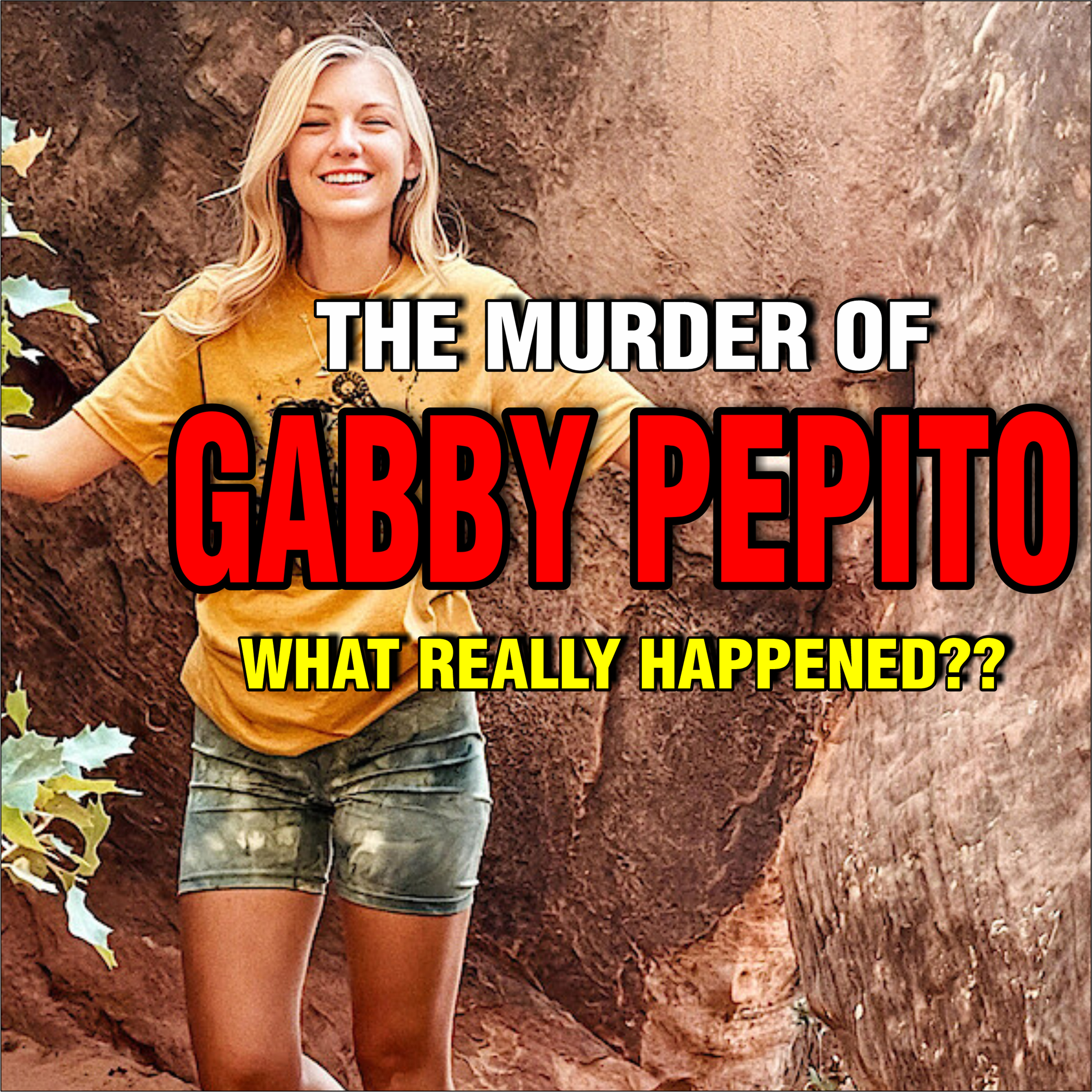 Who Killed Gabby Petito