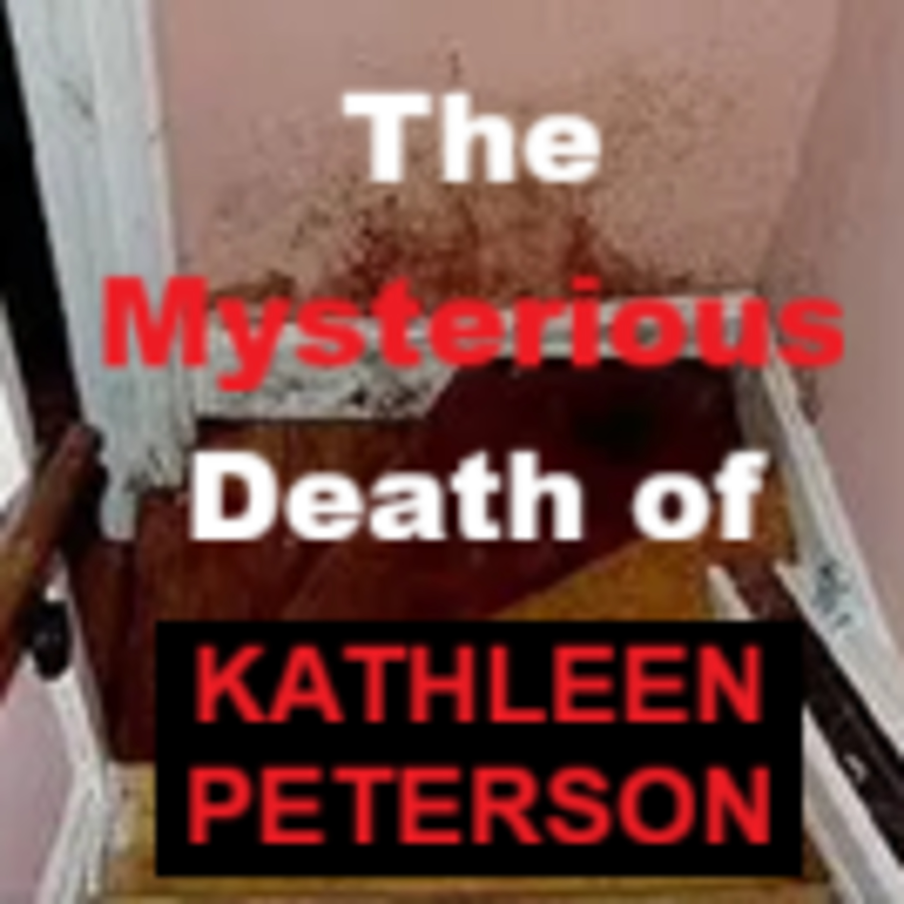 The Mysterious Death of Kathleen Peterson