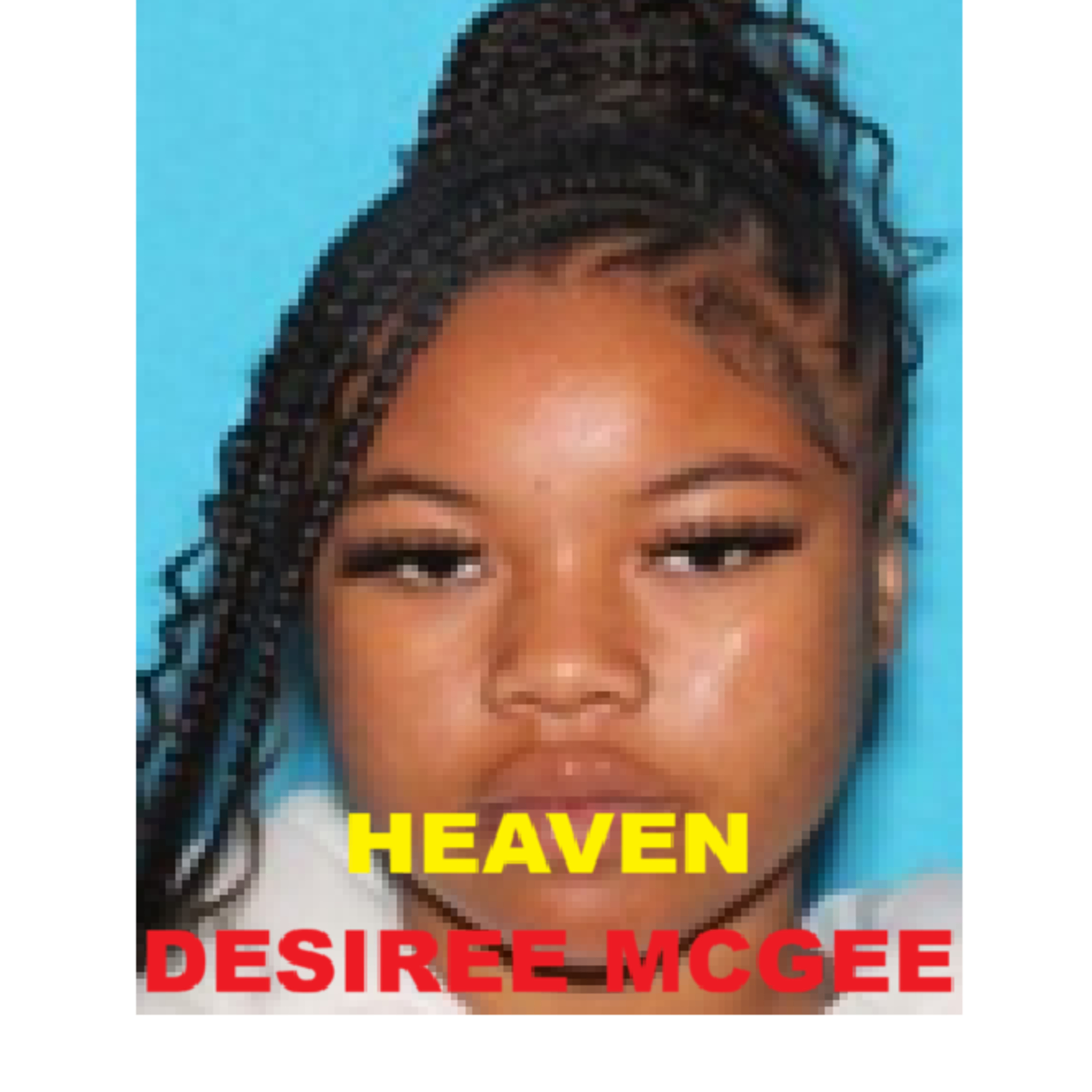 The Disappearance of Heaven Desiree McGee