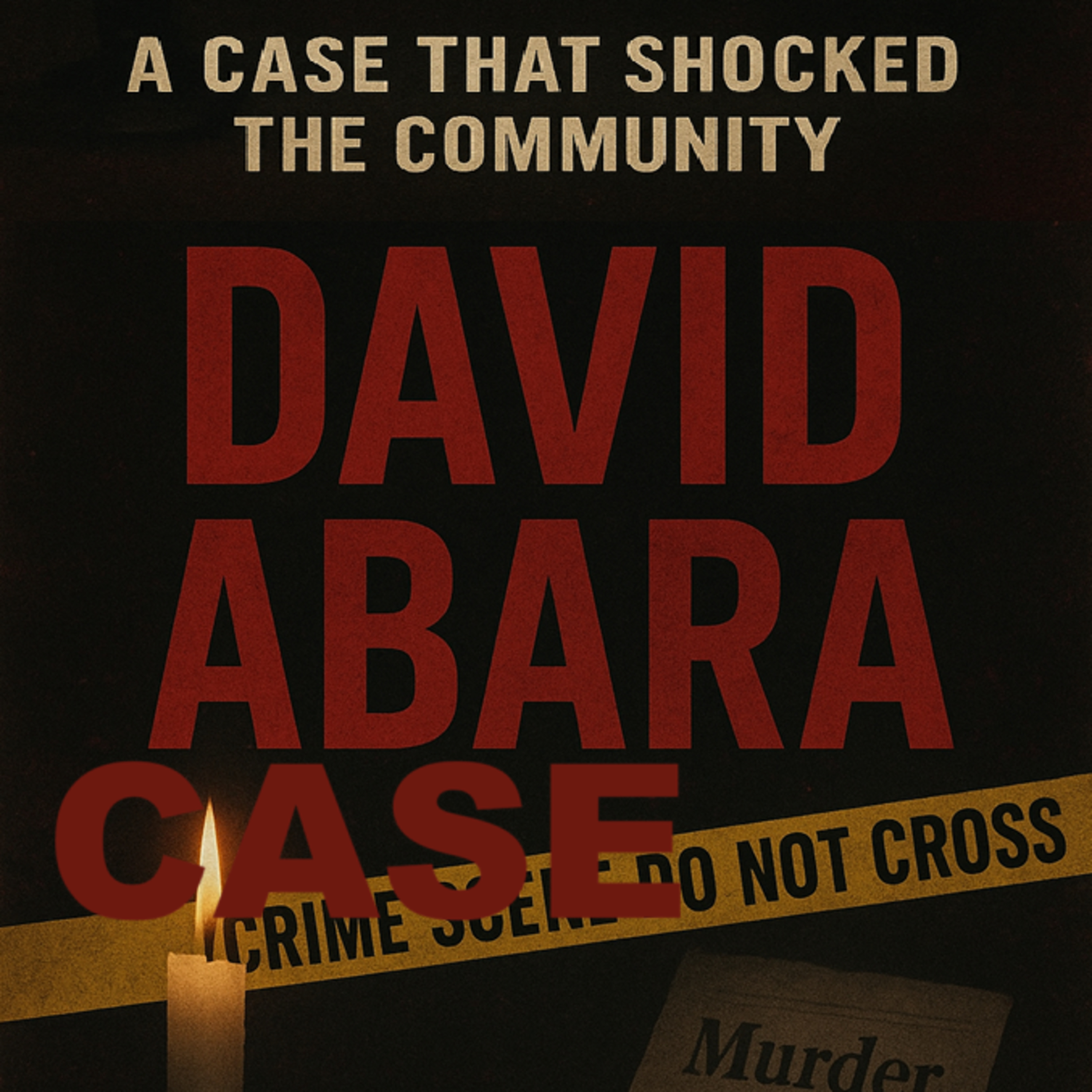 The David Abara Case