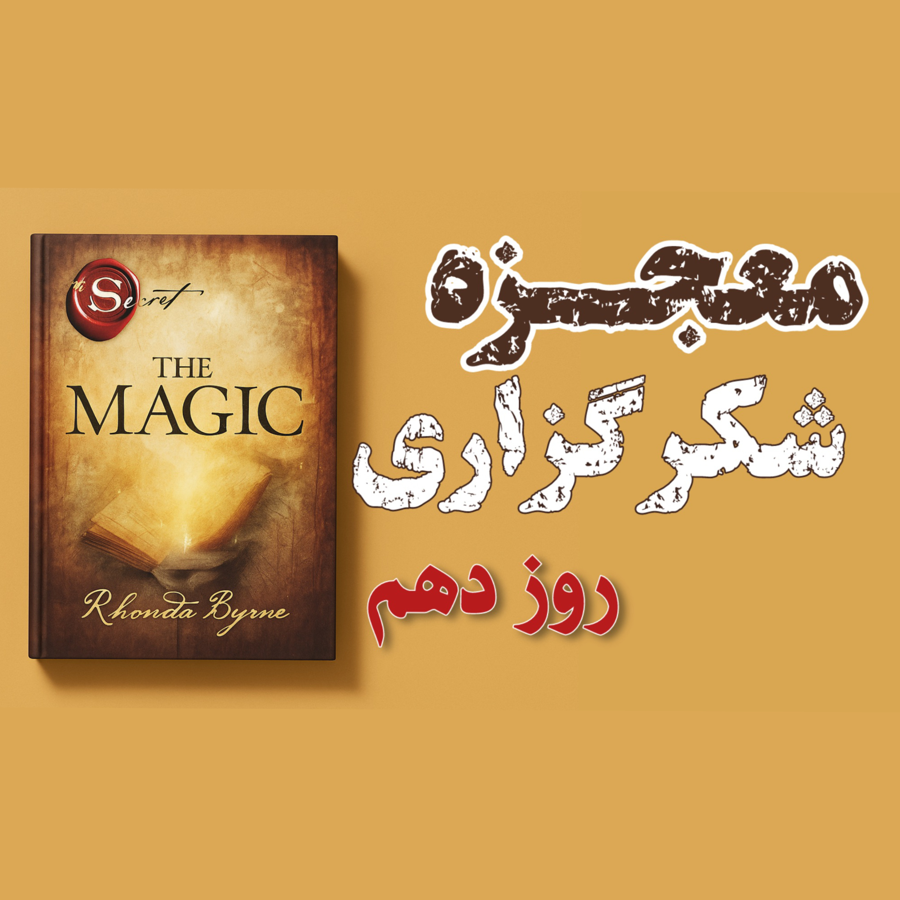 کاور روز دهم از ۲۸ روز معجزه شکرگزاری