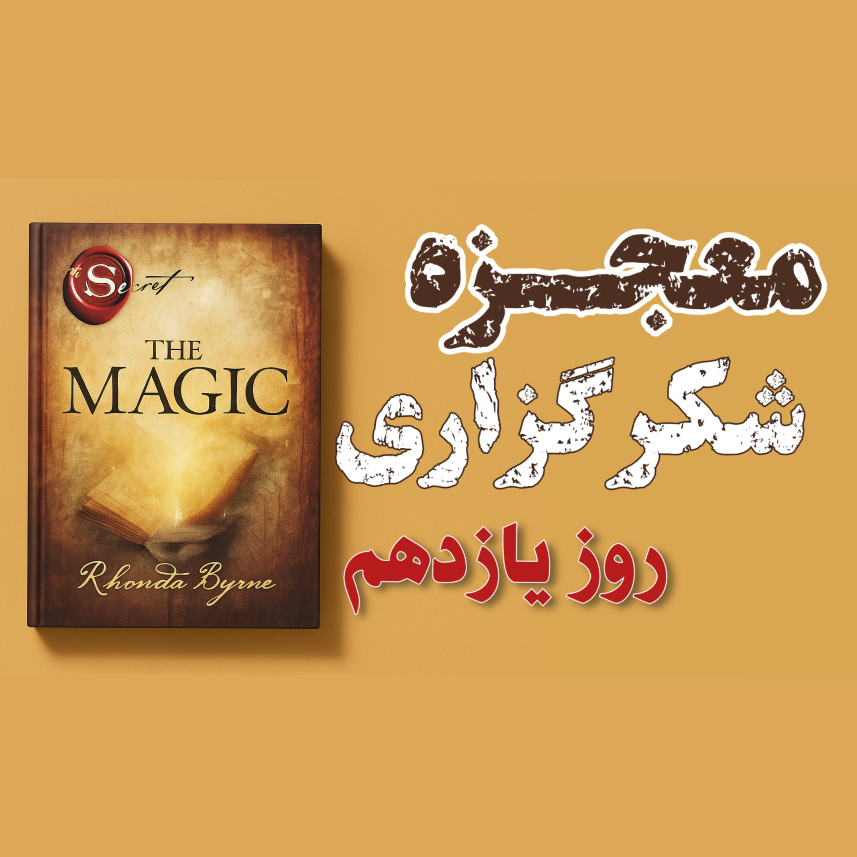 کاور روز یازدهم از ۲۸ روز معجزه شکرگزاری