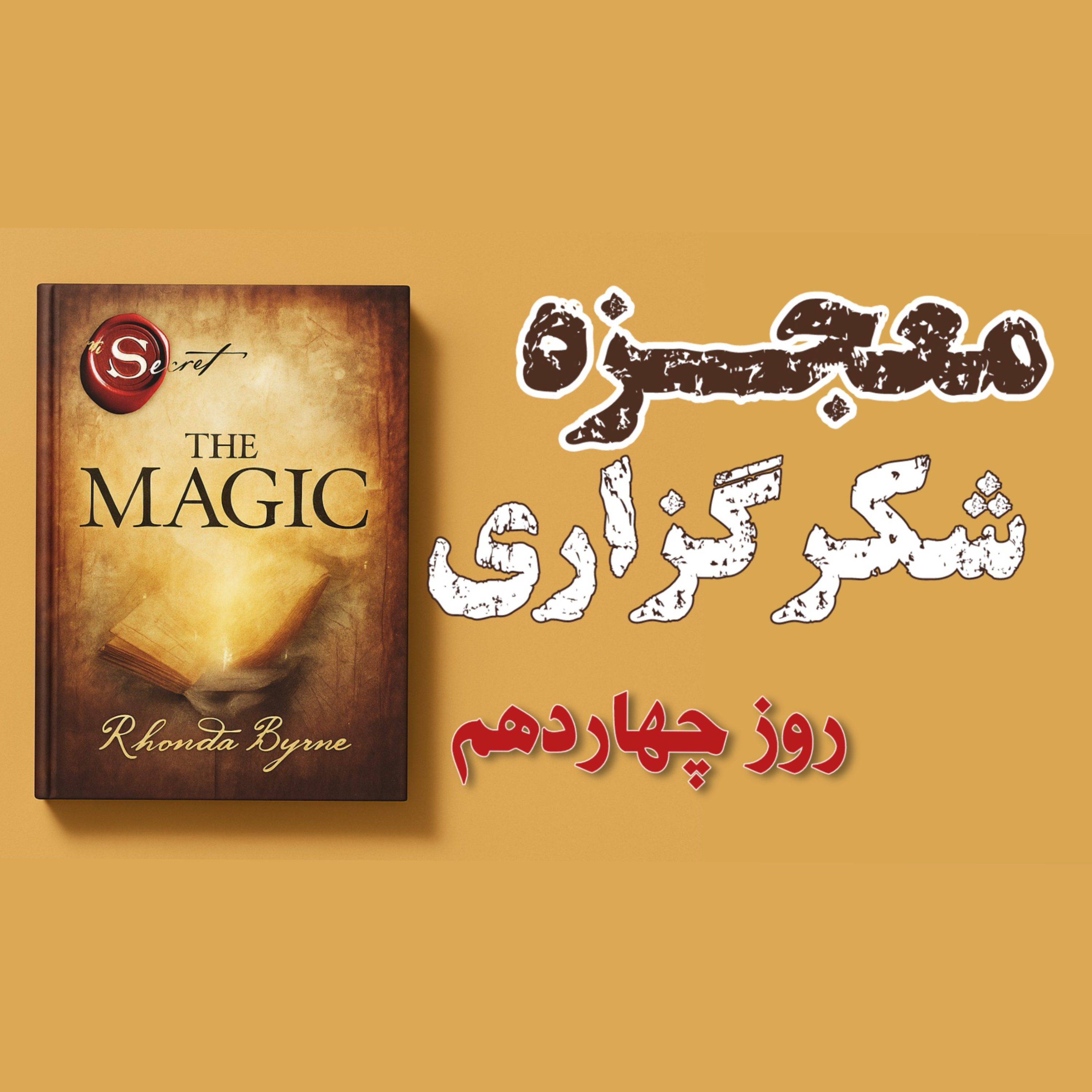 کاور روز چهاردهم از ۲۸ روز معجزه شکرگزاری
