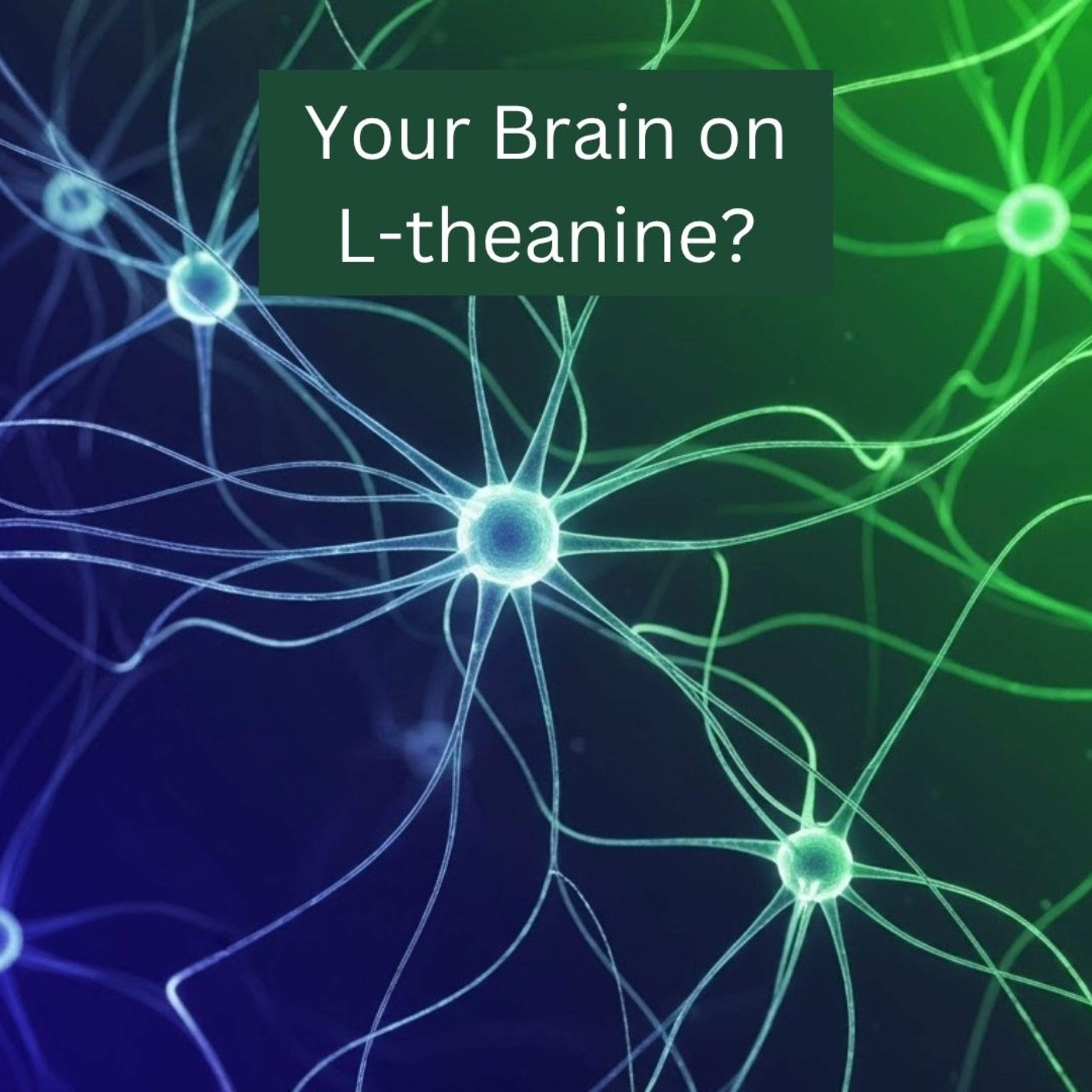 L-Theanine Explained: Coffee's Best Friend for Zero Jitters & Max Focus