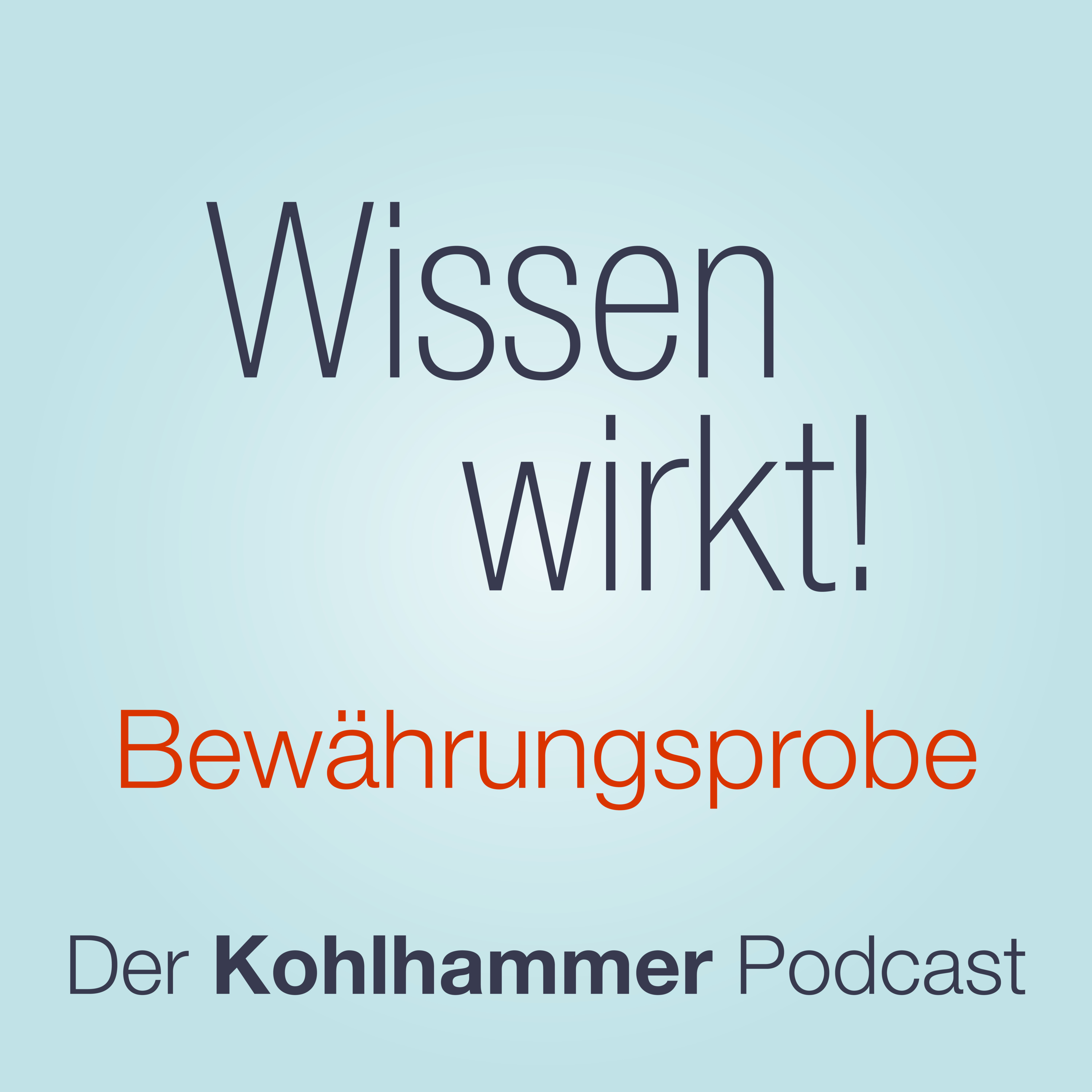 Die mediale Öffentlichkeit – Fragmentierung und Vertrauensverlust episode artwork