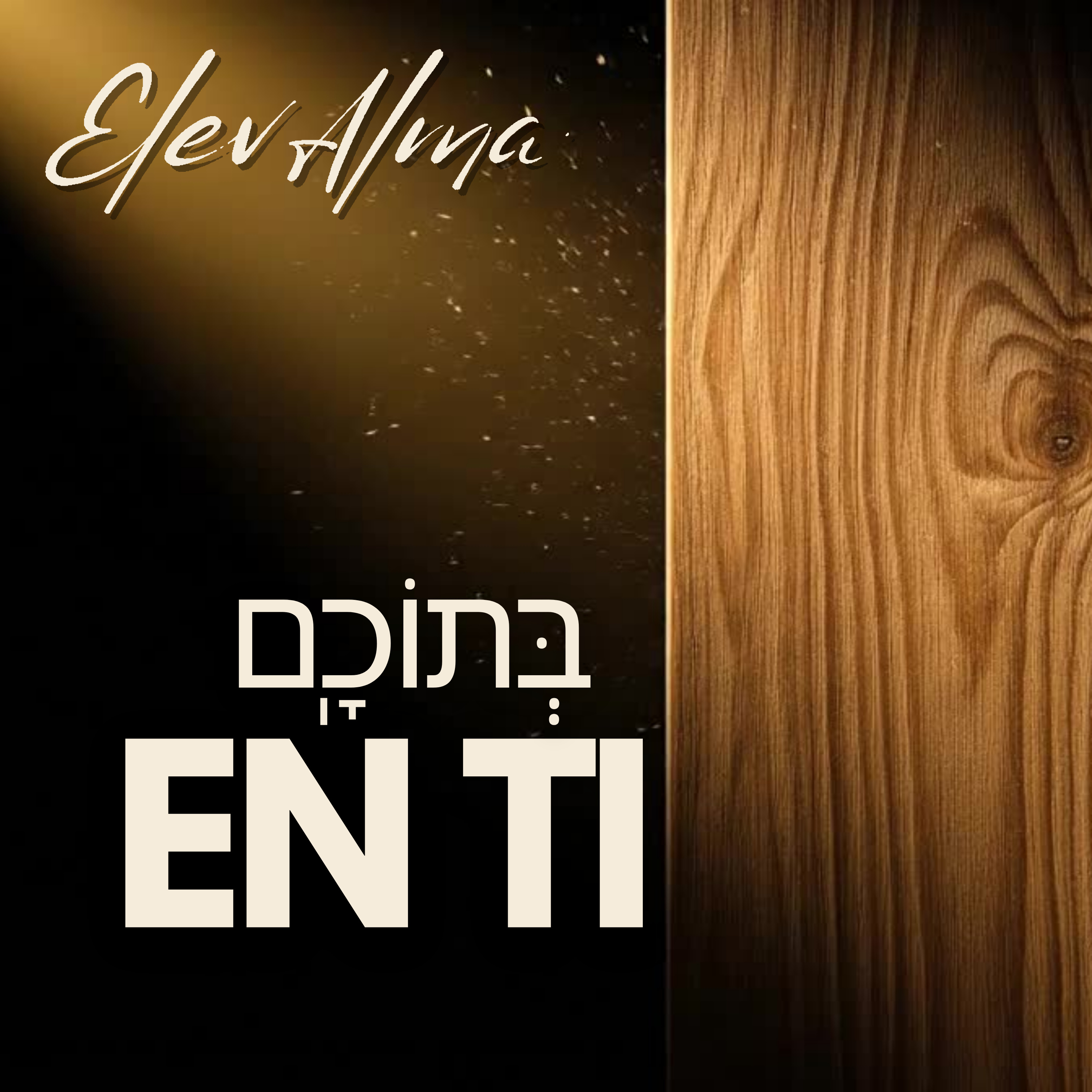 EN TI - Perashat Teruma 5786 - Saleh Penhos episode artwork