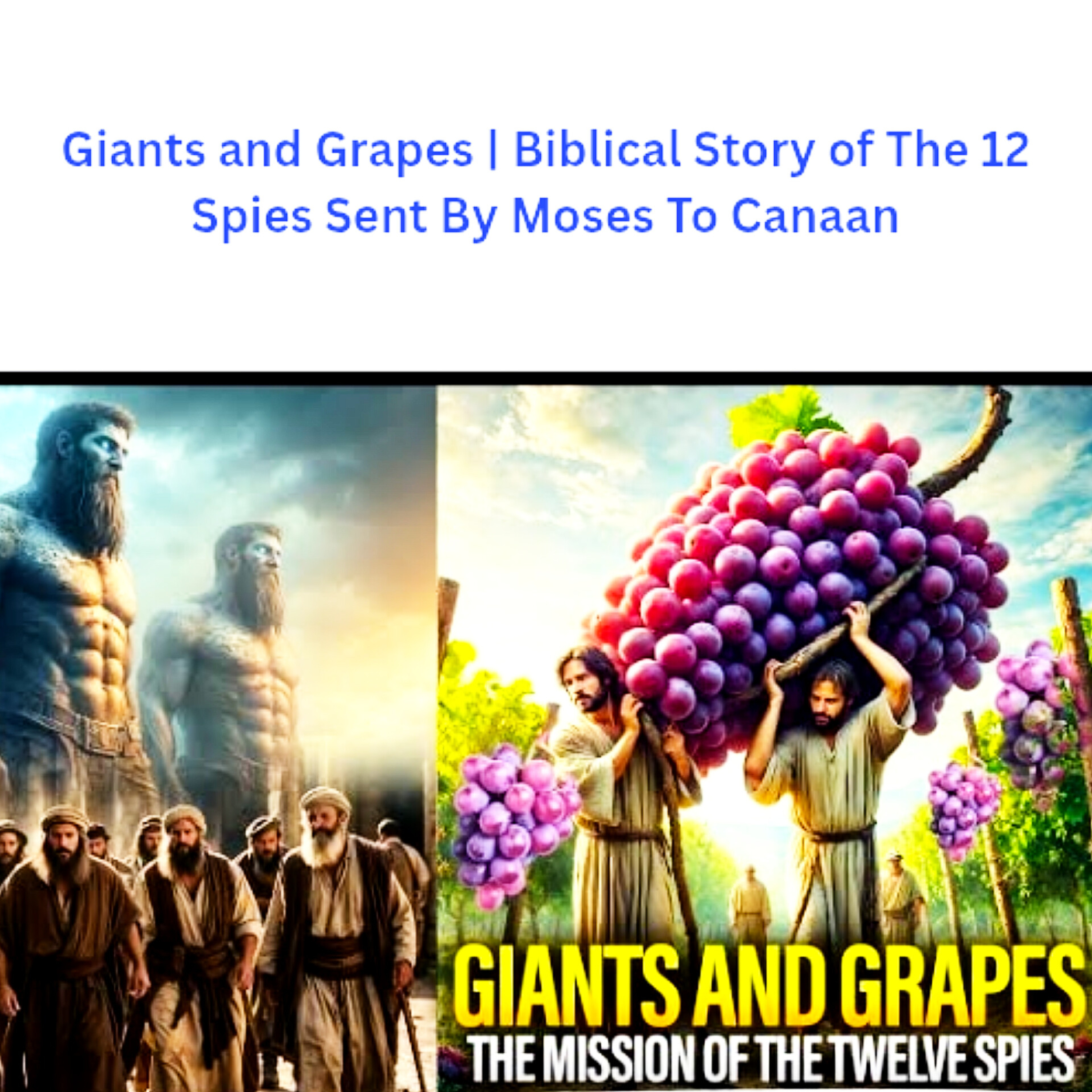 Bible Story Box