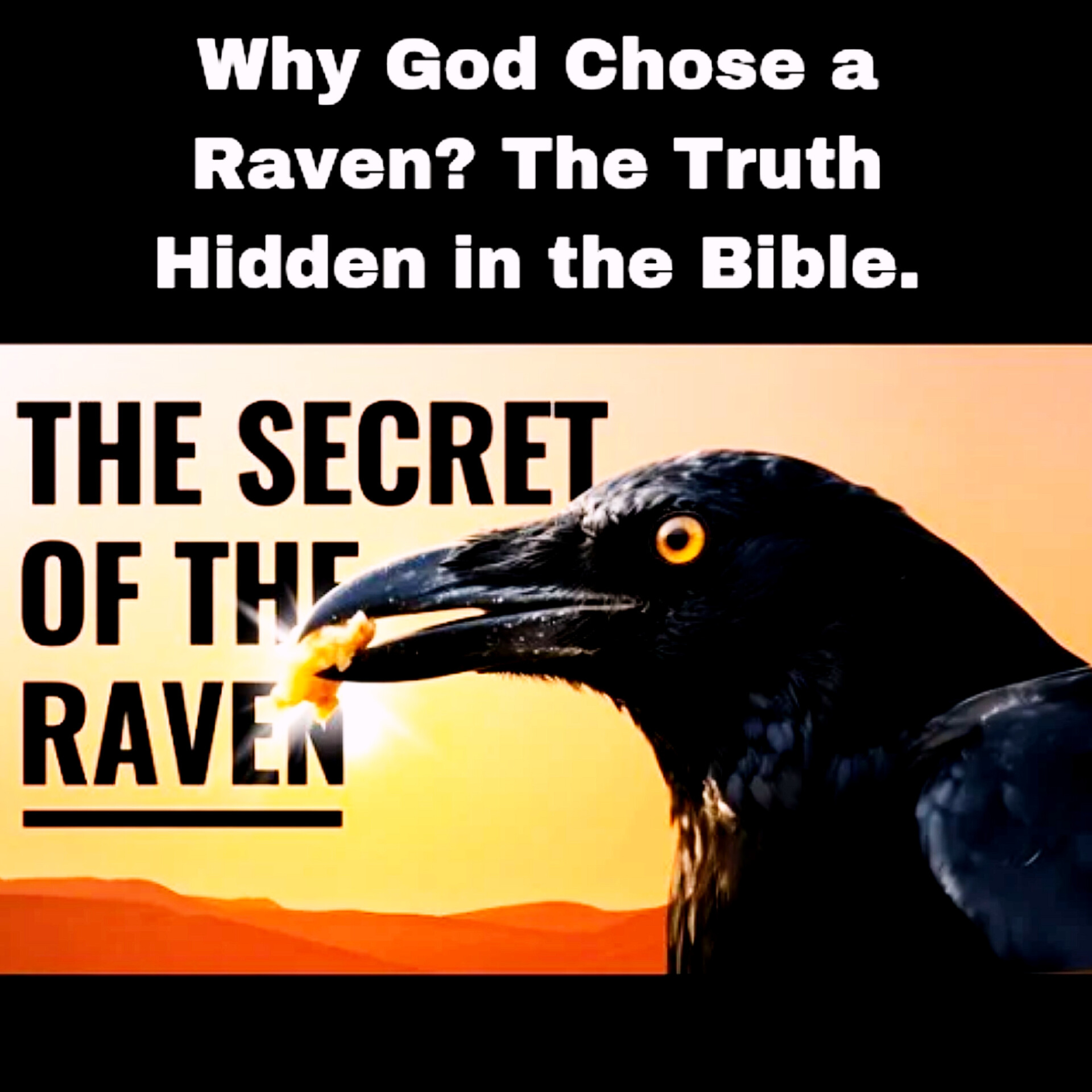 Why God Chose a Raven? The Truth Hidden in the Bible. episode artwork