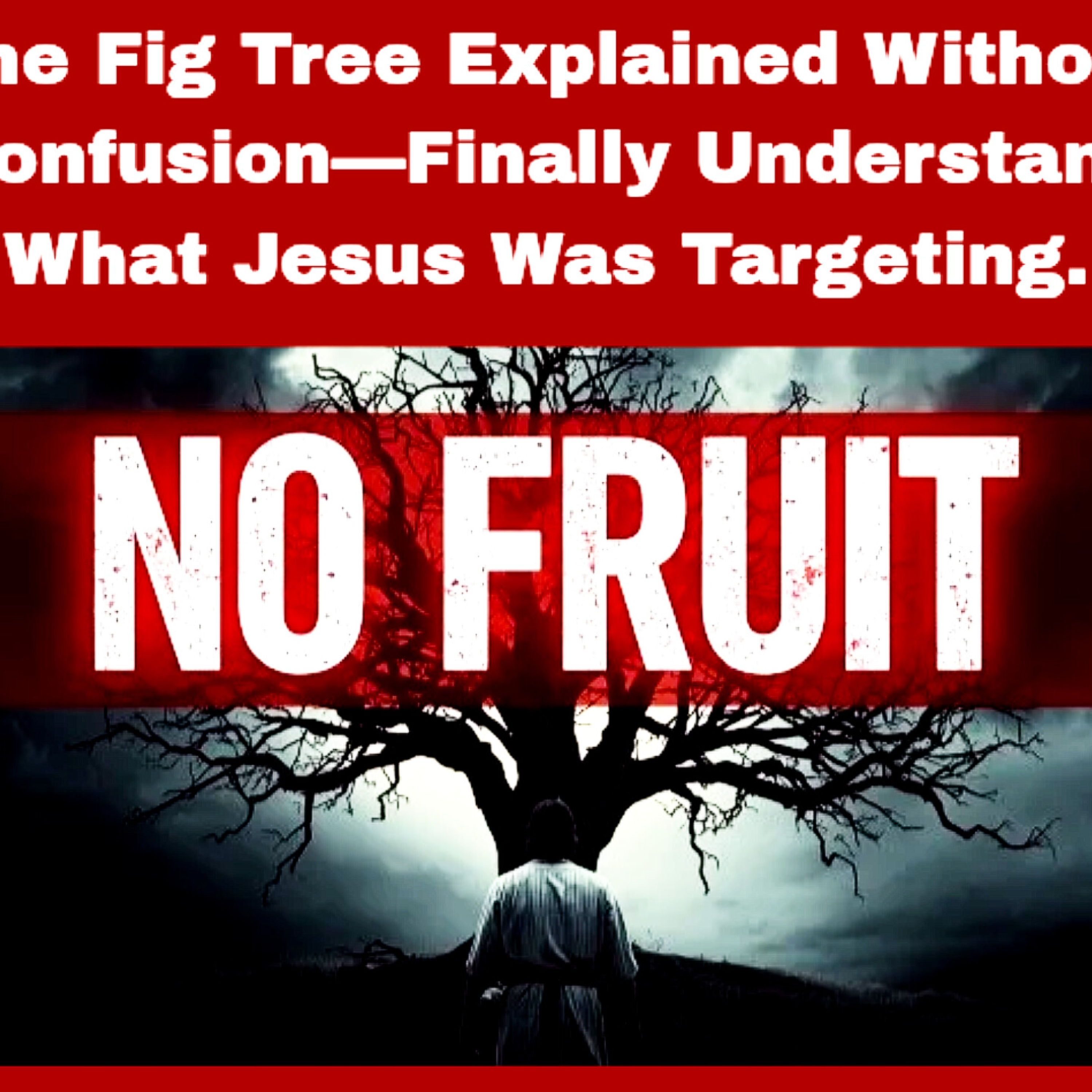 The Fig Tree Explained Without Confusion—Finally Understand What Jesus Was Targeting. Bible Stories.  episode artwork