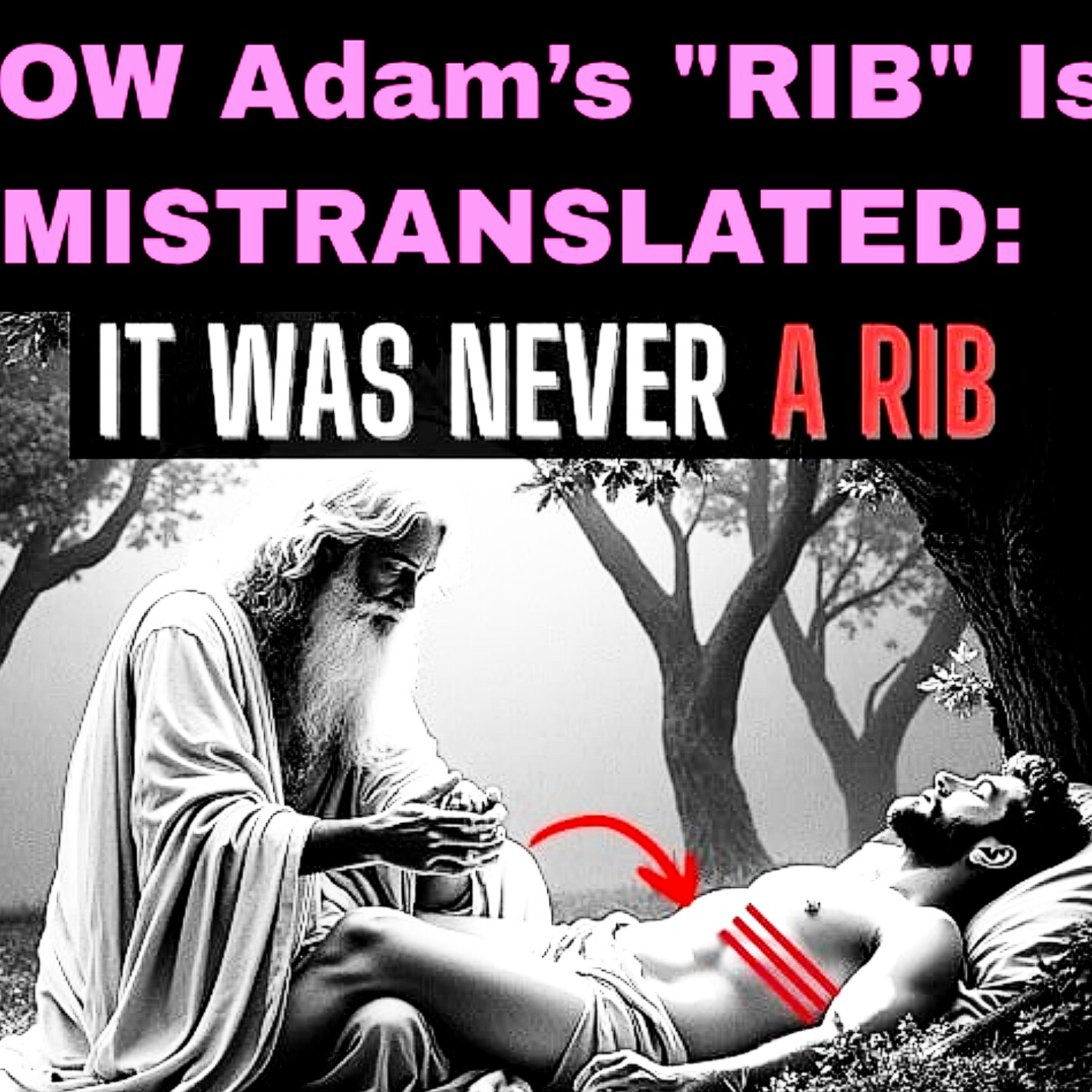 HOW Adam’s "RIB" Is MISTRANSLATED: What the Hebrew Text REVEALS Will SHOCK You! Bible Stories.  episode artwork