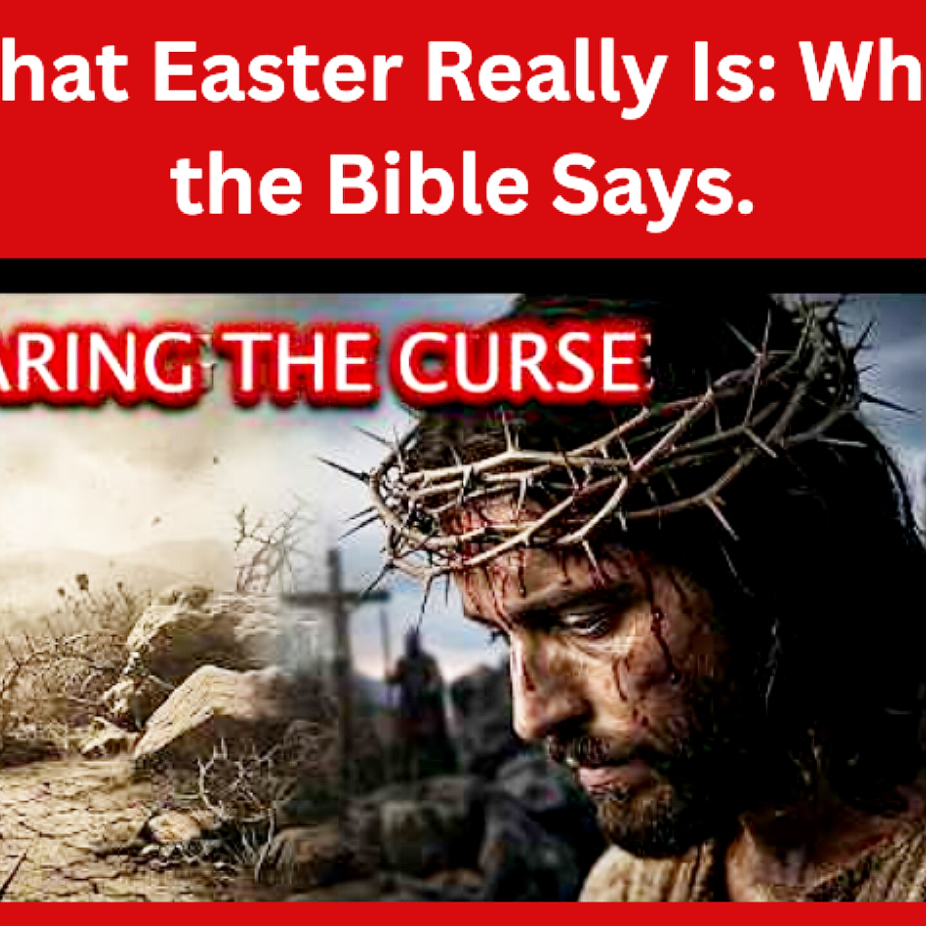 What Easter Really Is: What the Bible Says. Bible Stories.  episode artwork