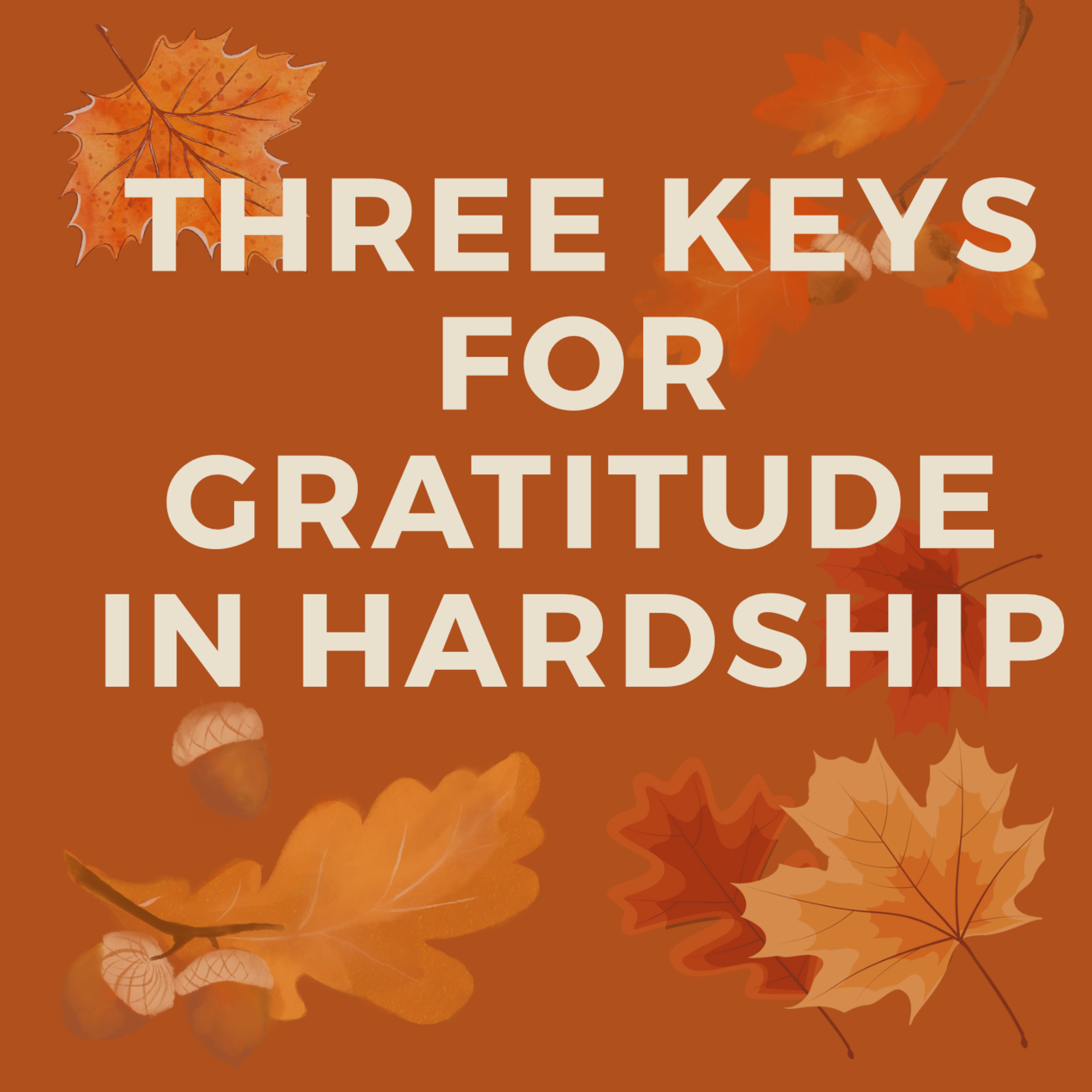 3 Keys for Gratitude In Hardship (Philippians 1:12-30) episode artwork