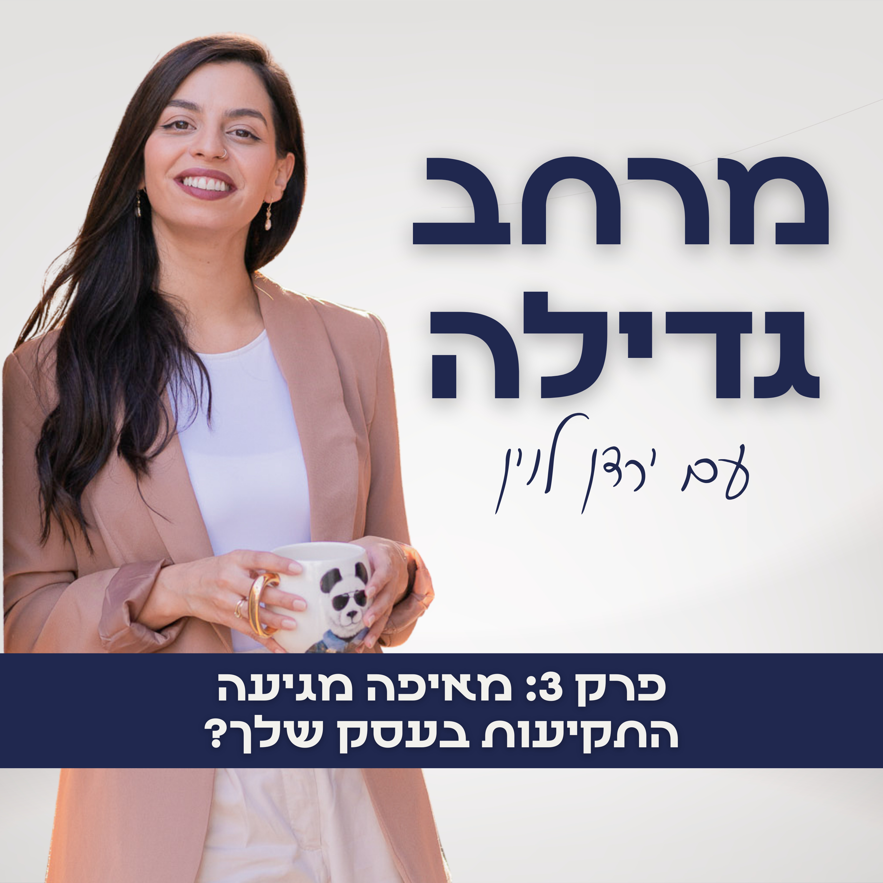 3. מאיפה מגיעה התקיעות בעסק שלך? episode artwork