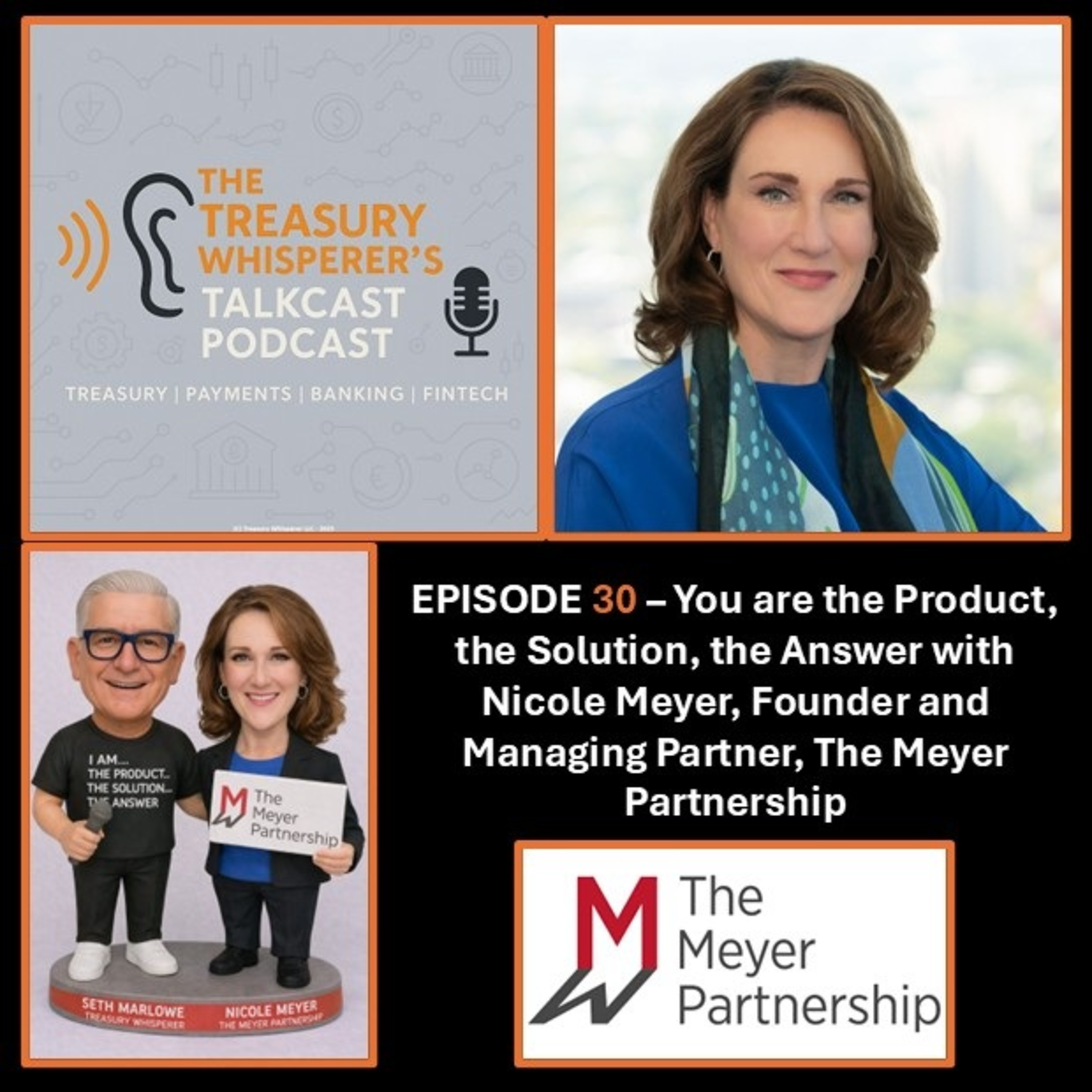 Episode 30 - You are the Product, the Solution, the Answer with Nicole Meyer (The Meyer Partnership)